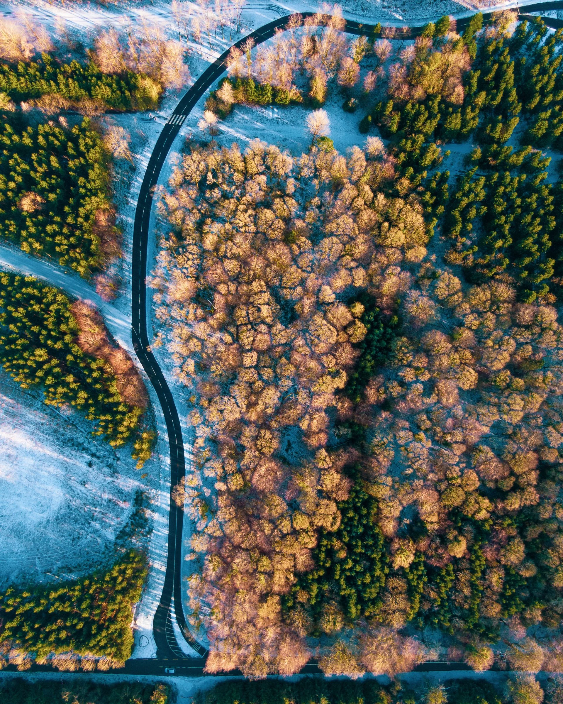 DJI_0789.jpg