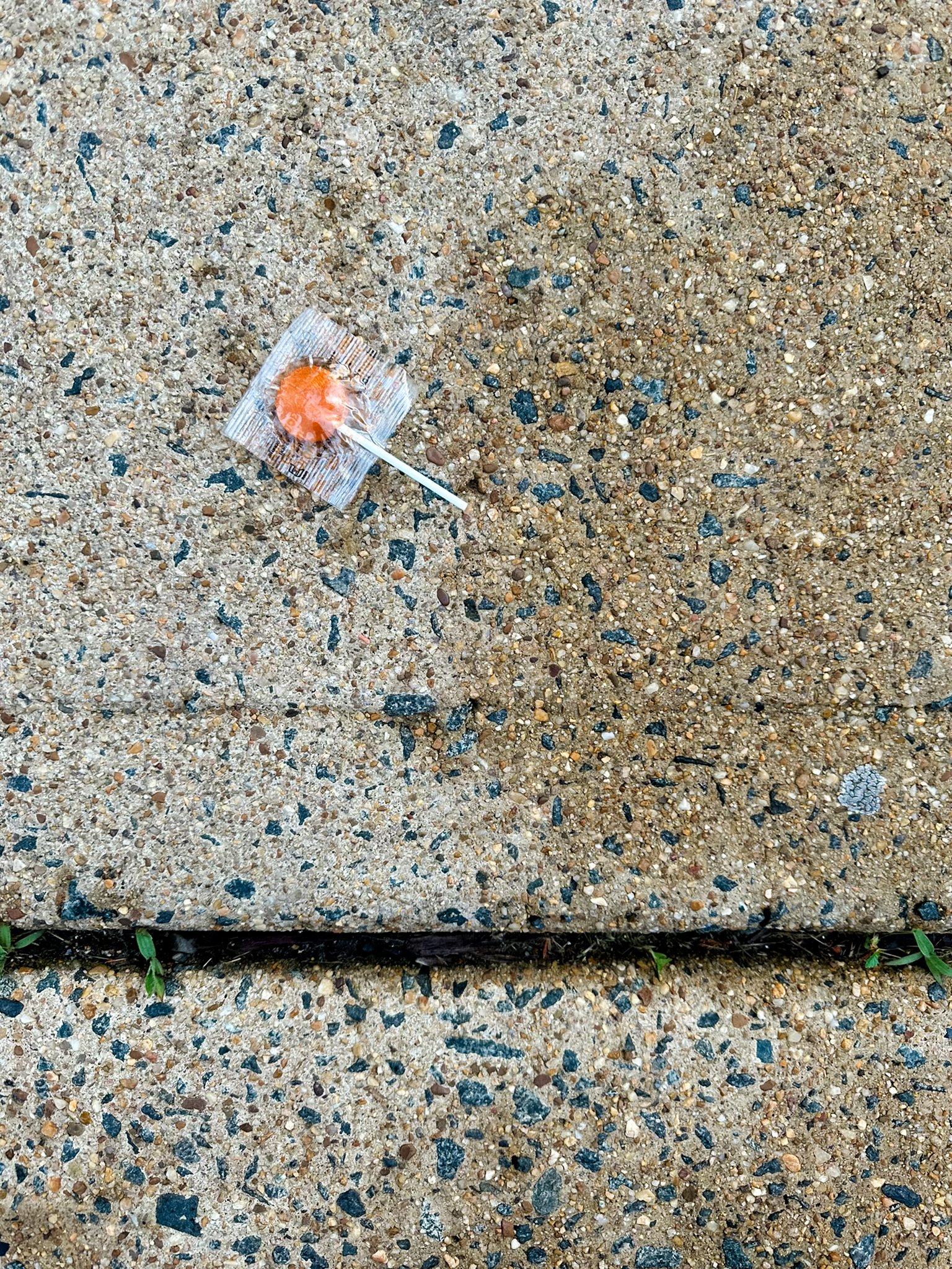 CuriousFind-15.jpg