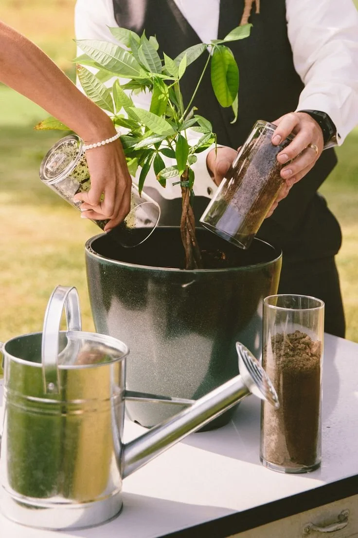 Tree planting wedding ceremony