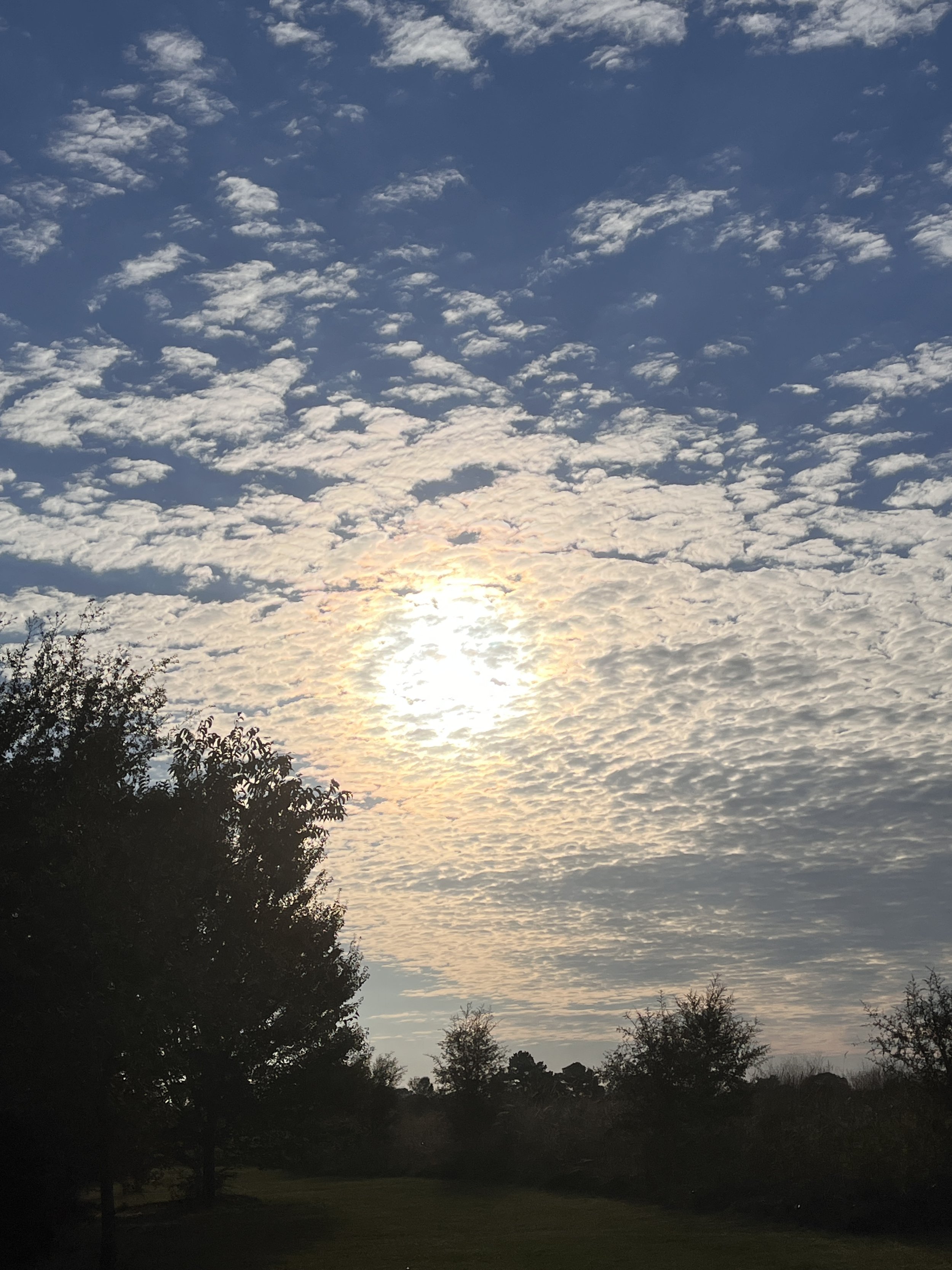 Sunrise over Lake Elwood