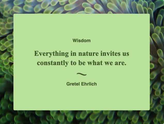 Gretel Ehrlich
