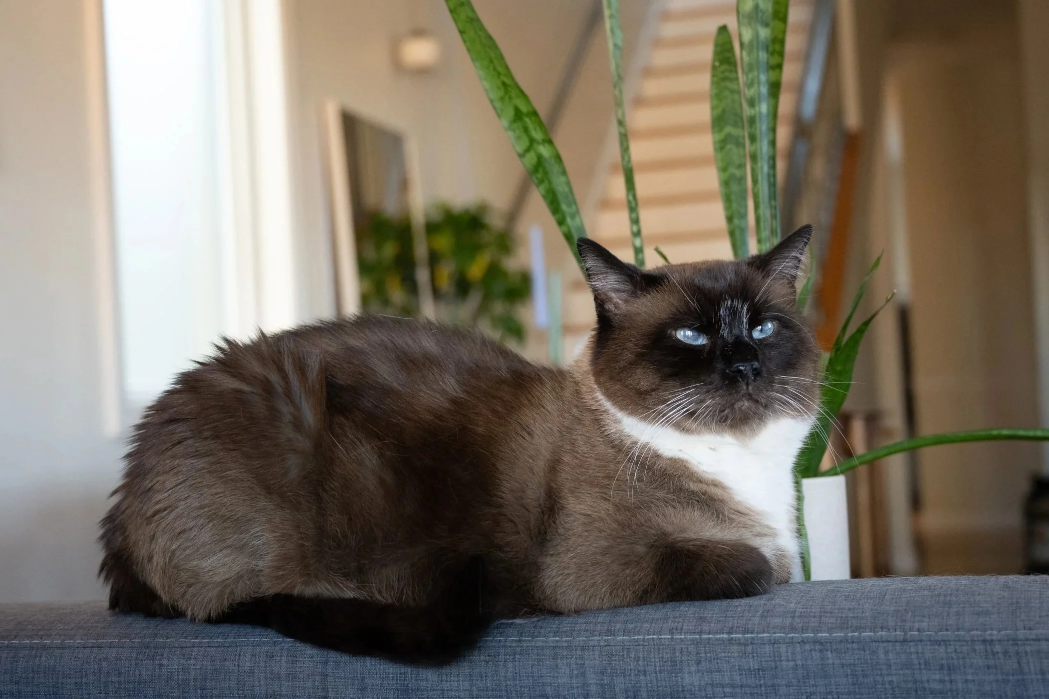DSC_4171.jpg