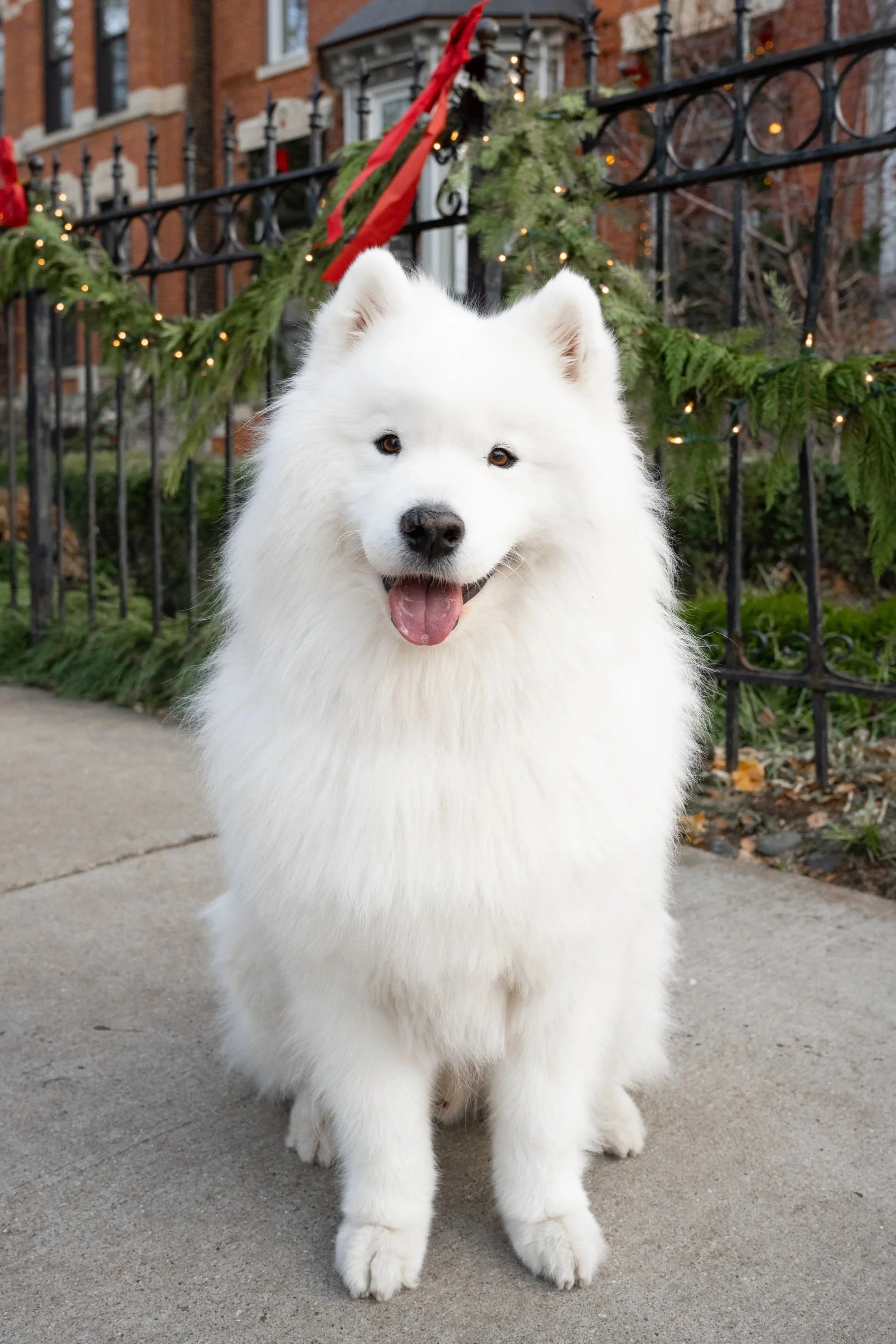 DSC_8660.jpg