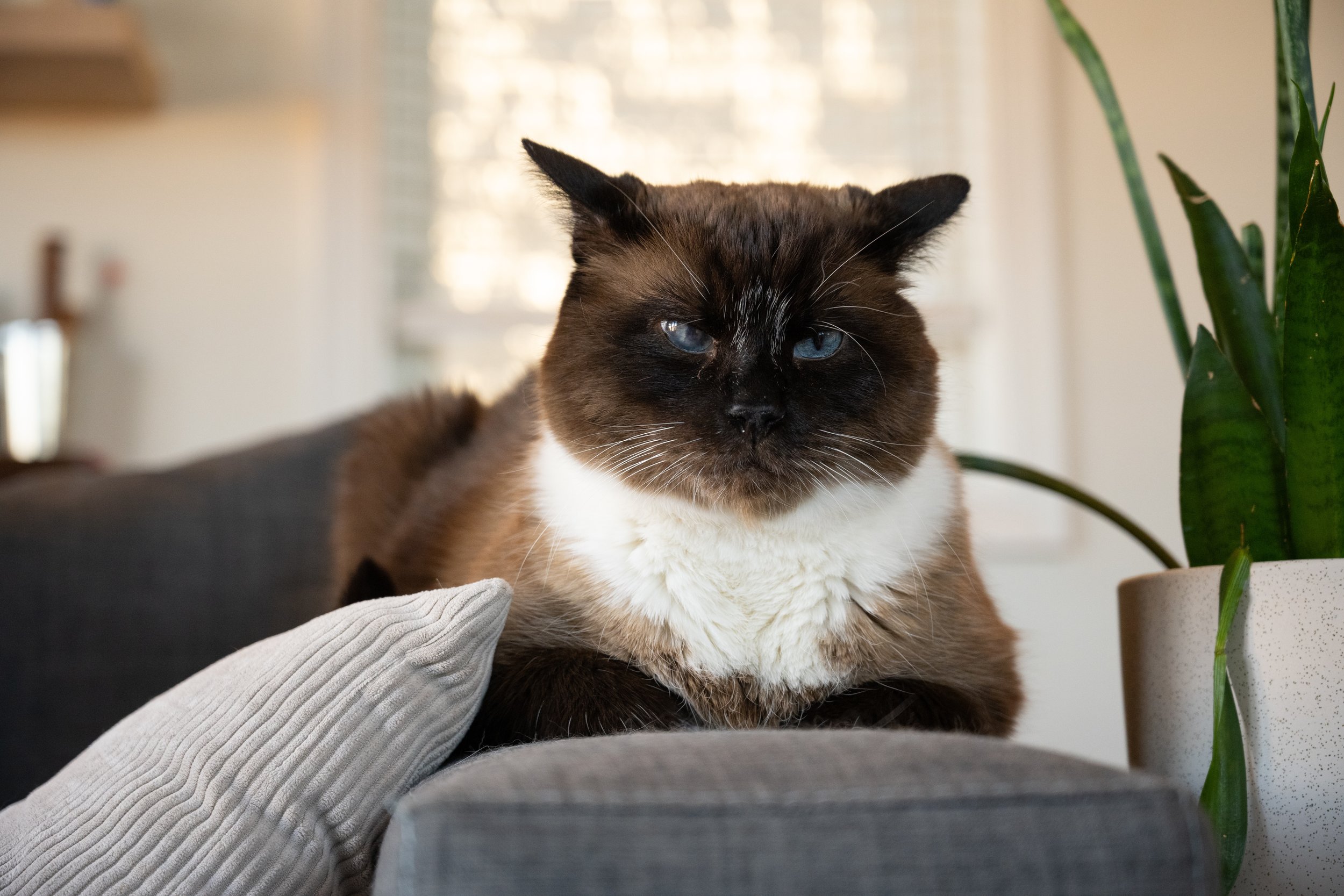 DSC_4161.jpg
