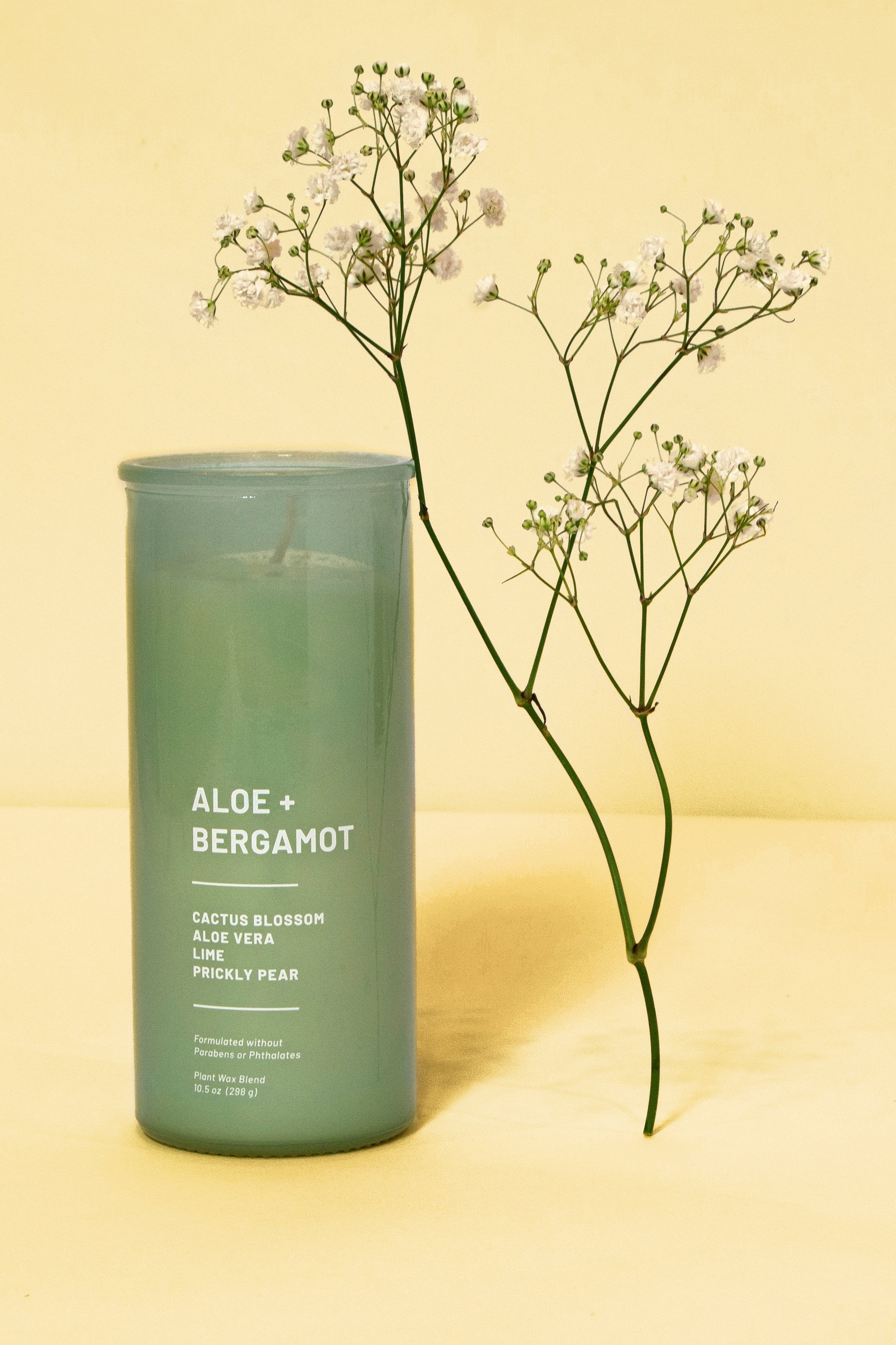 DSC_3757 y2 copy.jpg