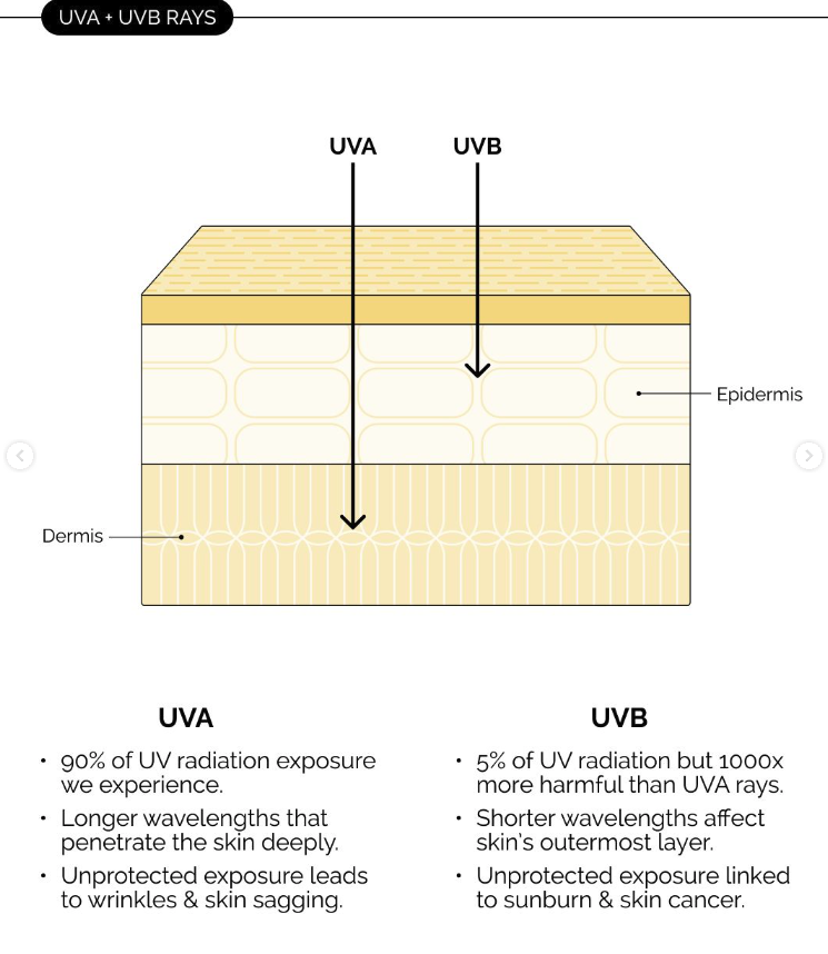 Screenshot 2025-07-23 at 7.28.45 PM.png