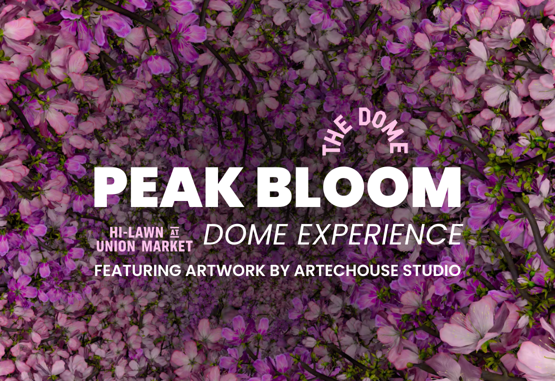 Peak Bloom: Dome Experience