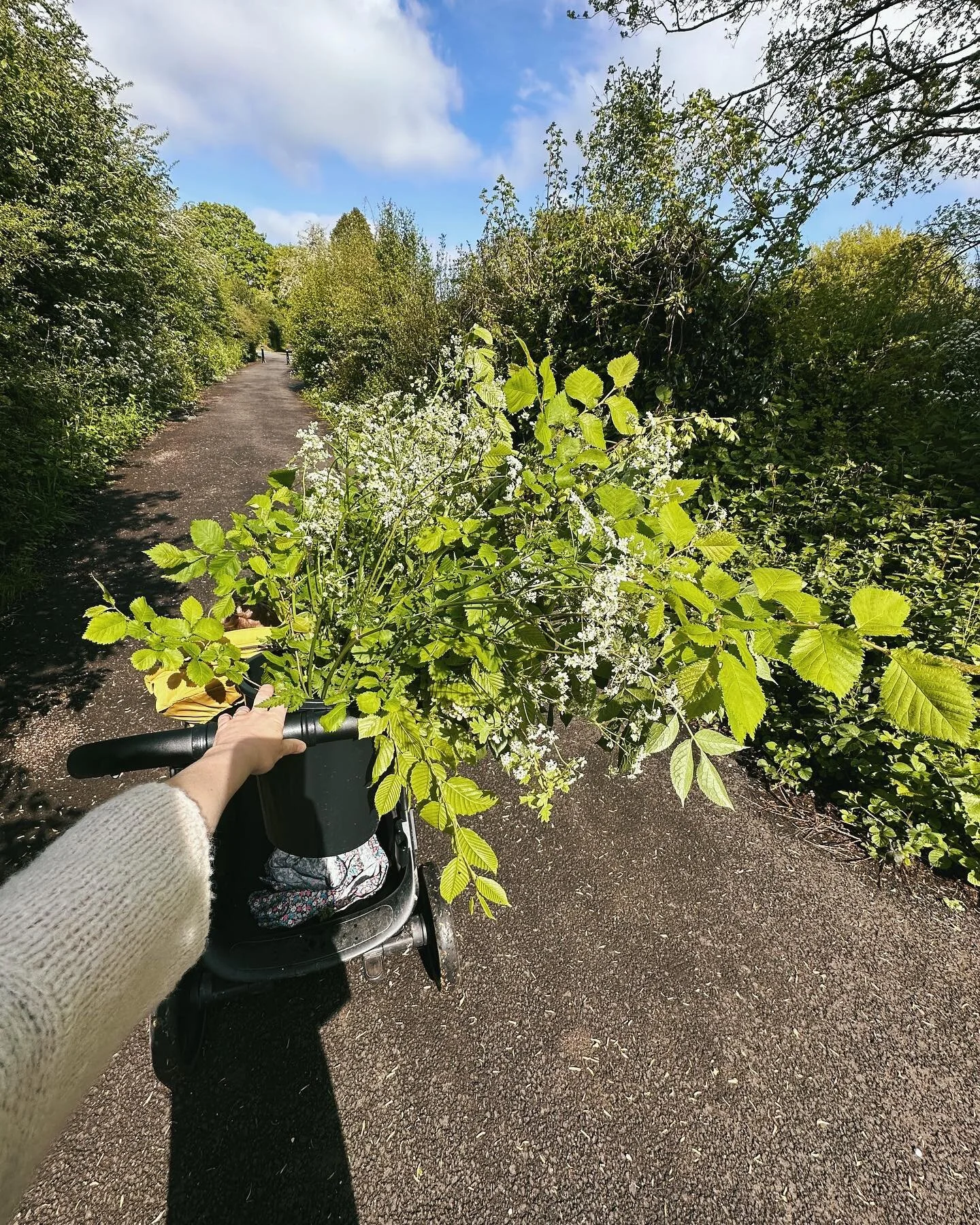 I went foraging for some foliage for this weekends bouquets for the honesty stand. Lots of lovely hornbeam, hawthorn, cow parsley and elderberry. Swipe to see what Florian&rsquo;s favourite flower is at the moment 🌼

#bradfordonavonflorist #bradford