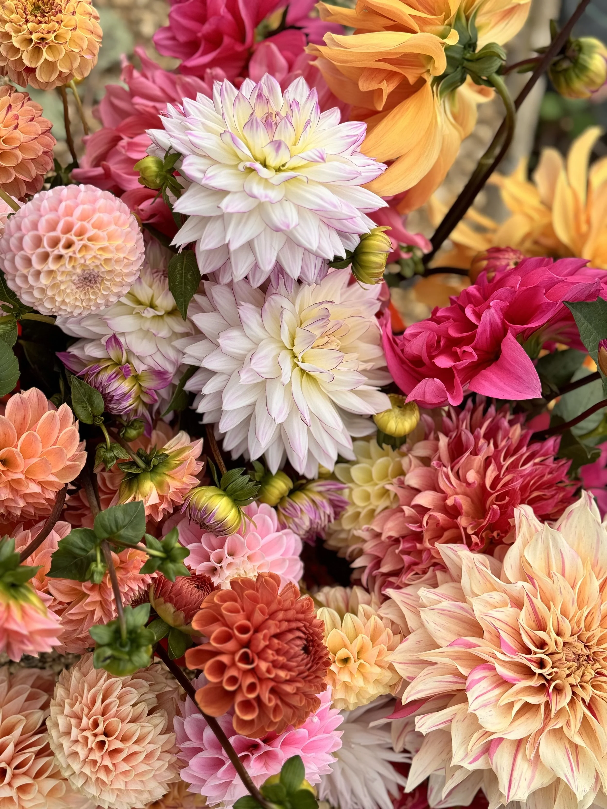 Autumn Wedding Flowers in Bradford-on-Avon: September &amp; October Blooms