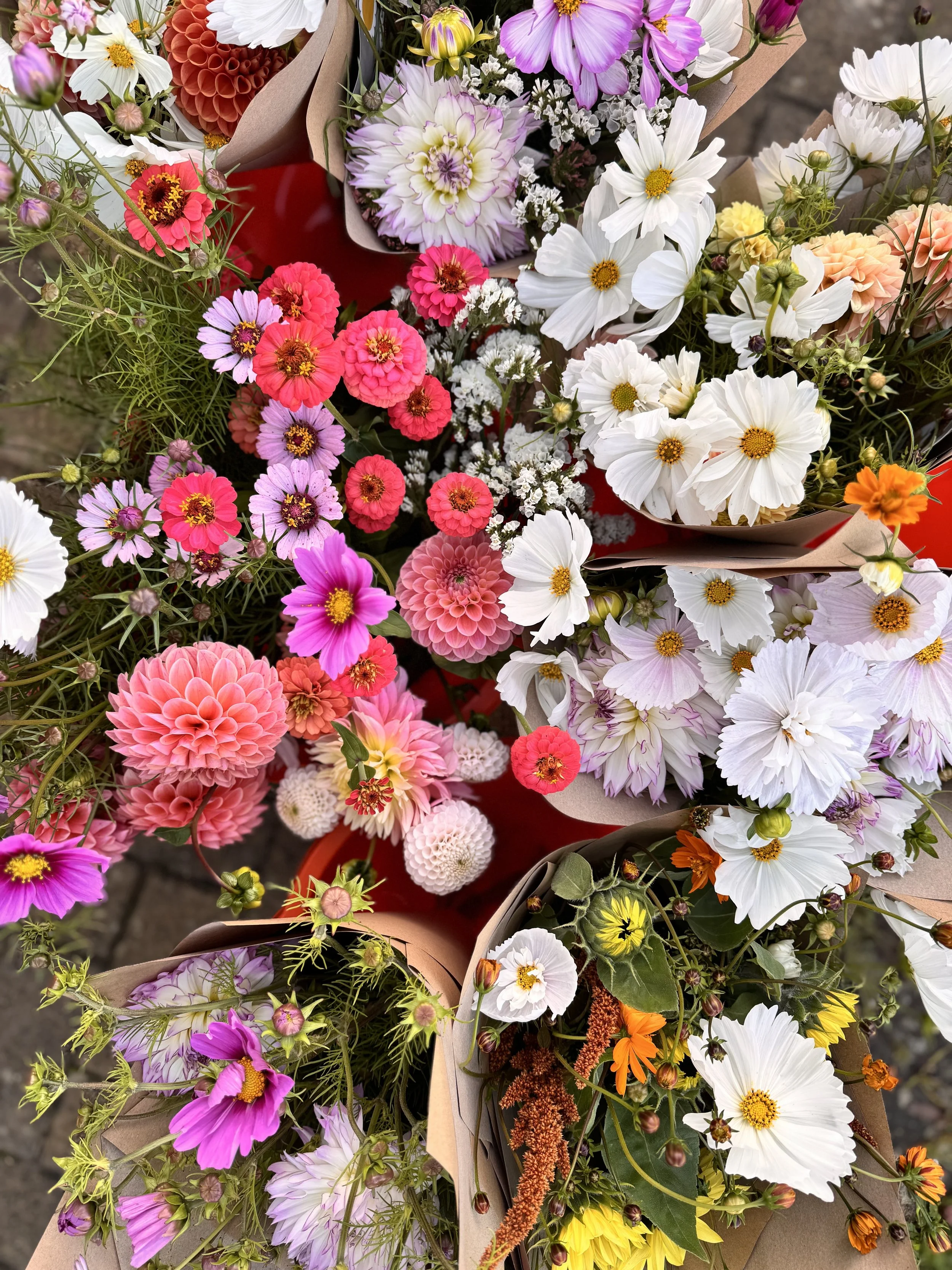 How to pre order valentine’s day flowers