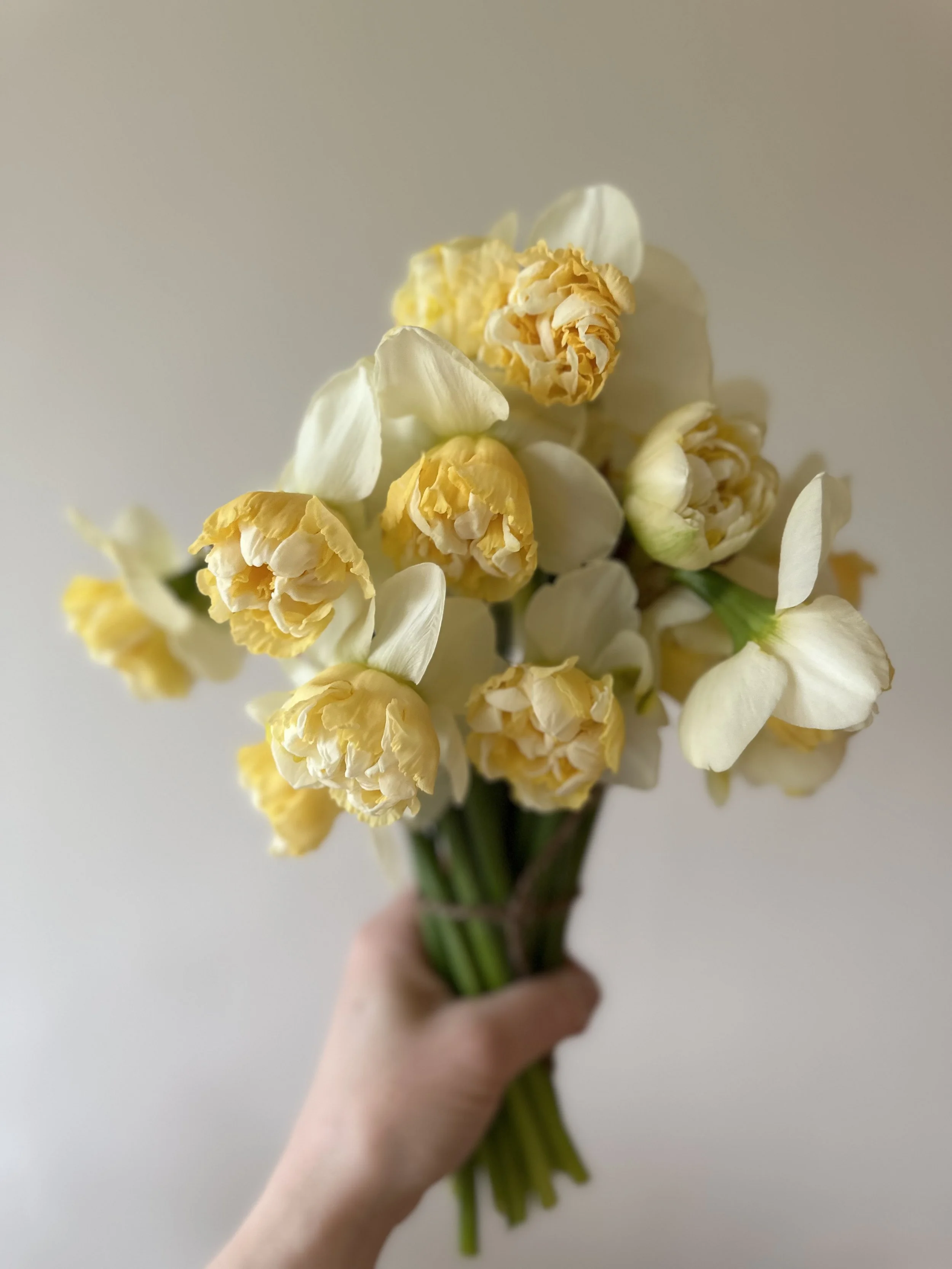 How to Pre-Order Mother’s Day Flowers from Cicely Flowers