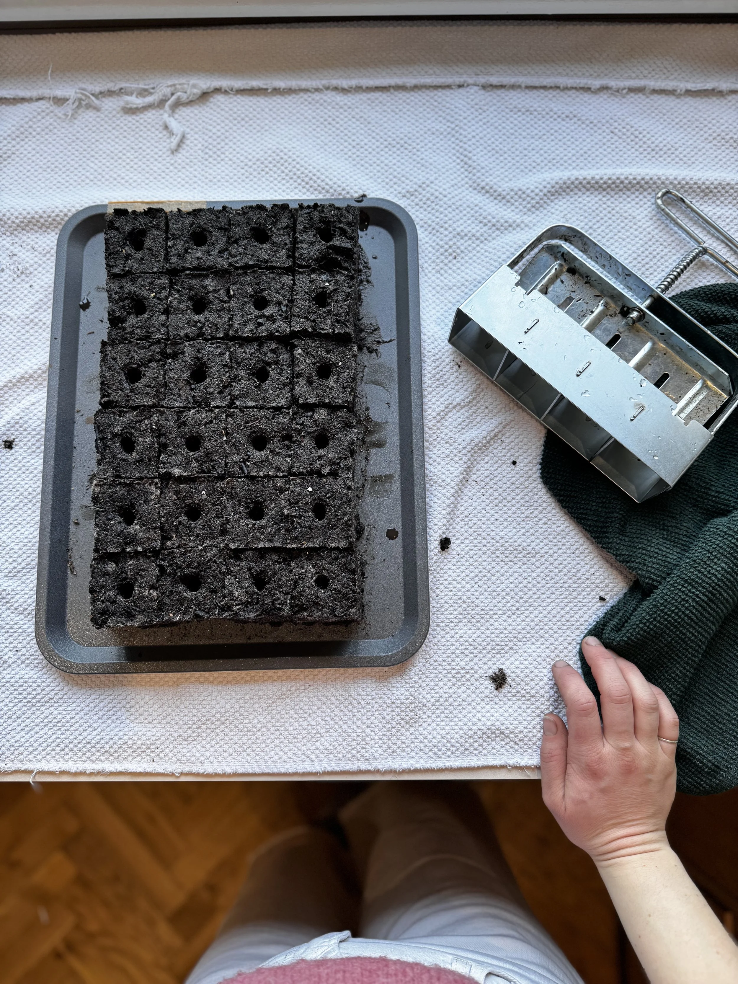 Why I Use Soil Blocks on the Flower Farm