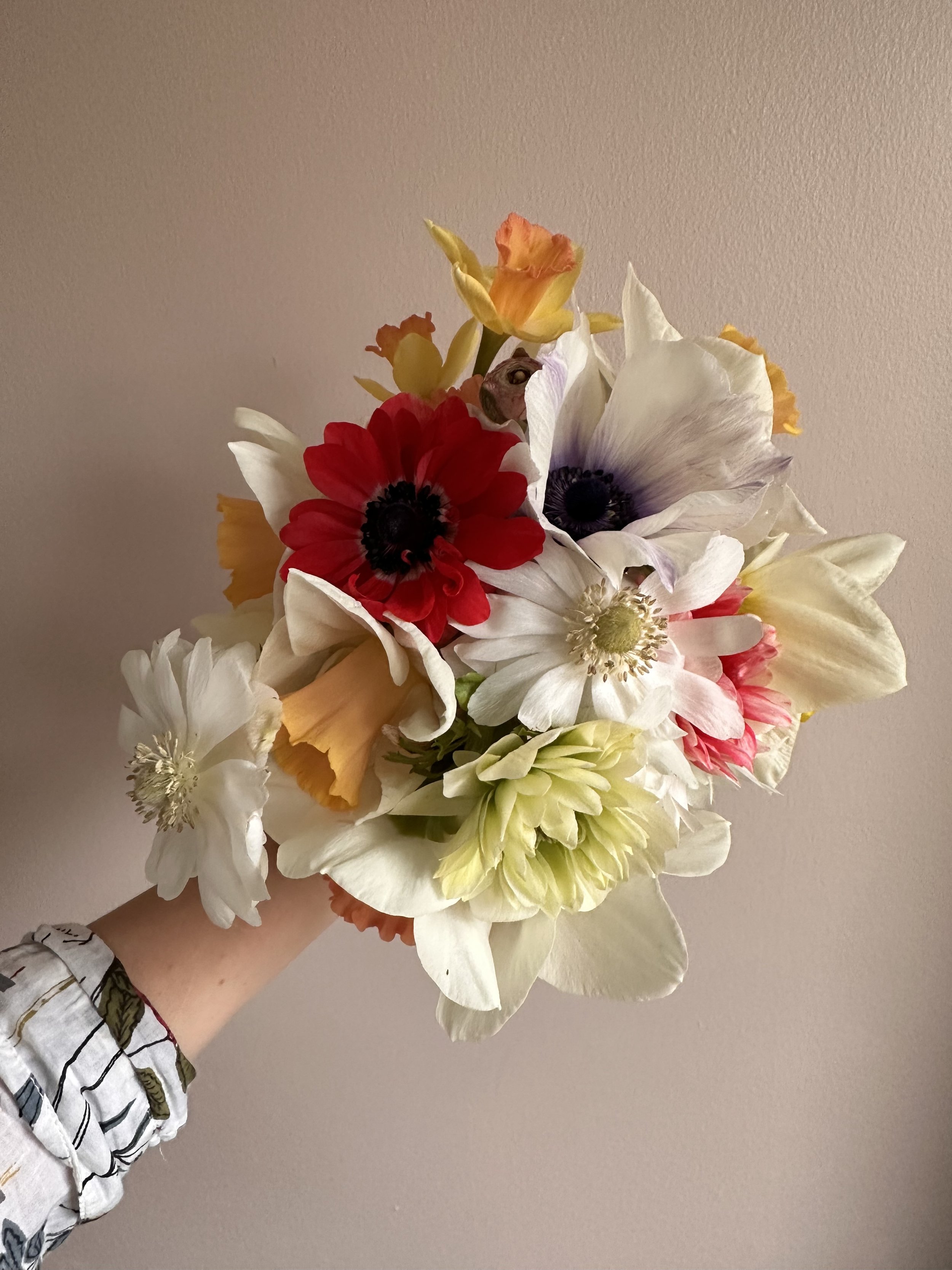 10 Unhinged Things I’ve Done in the Name of Flowers