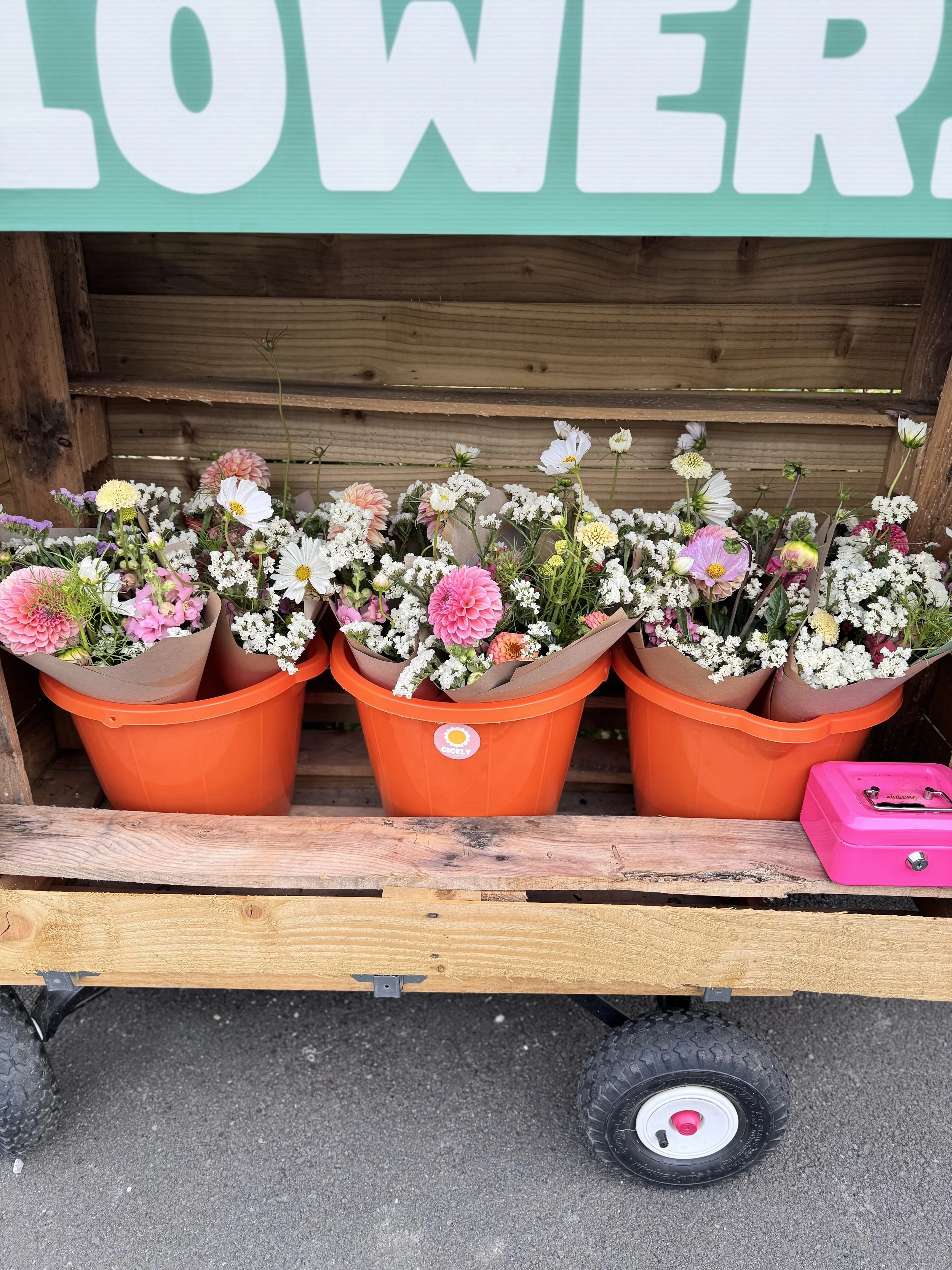 The Evolution of My Flower Stand