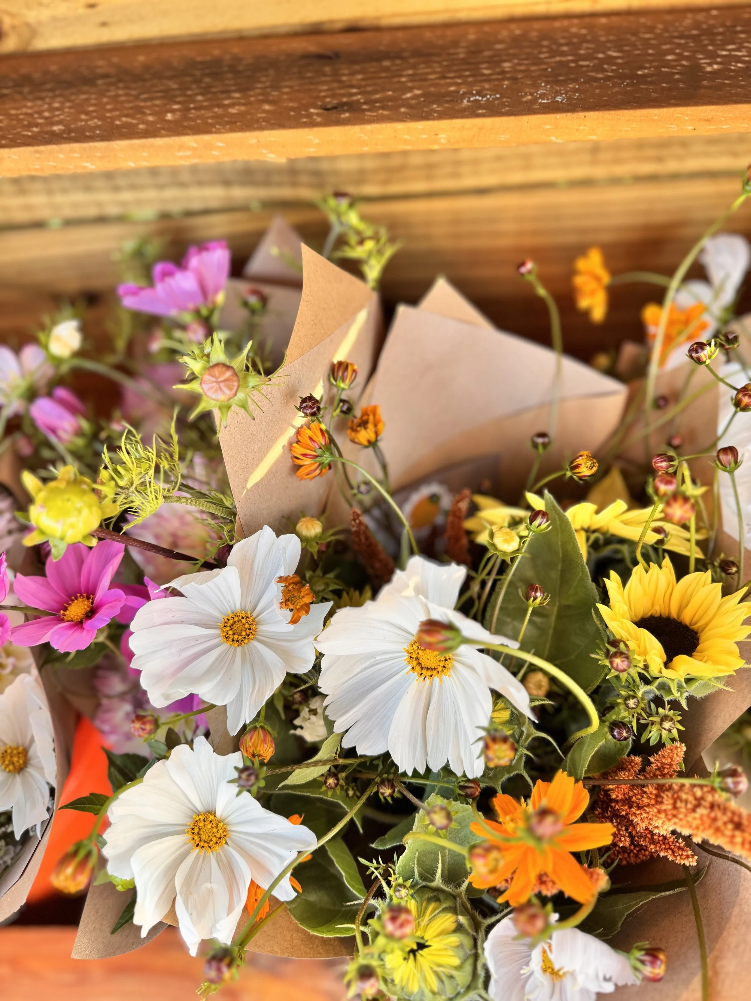 7 Ways to Help Your Cut Flowers Last Longer