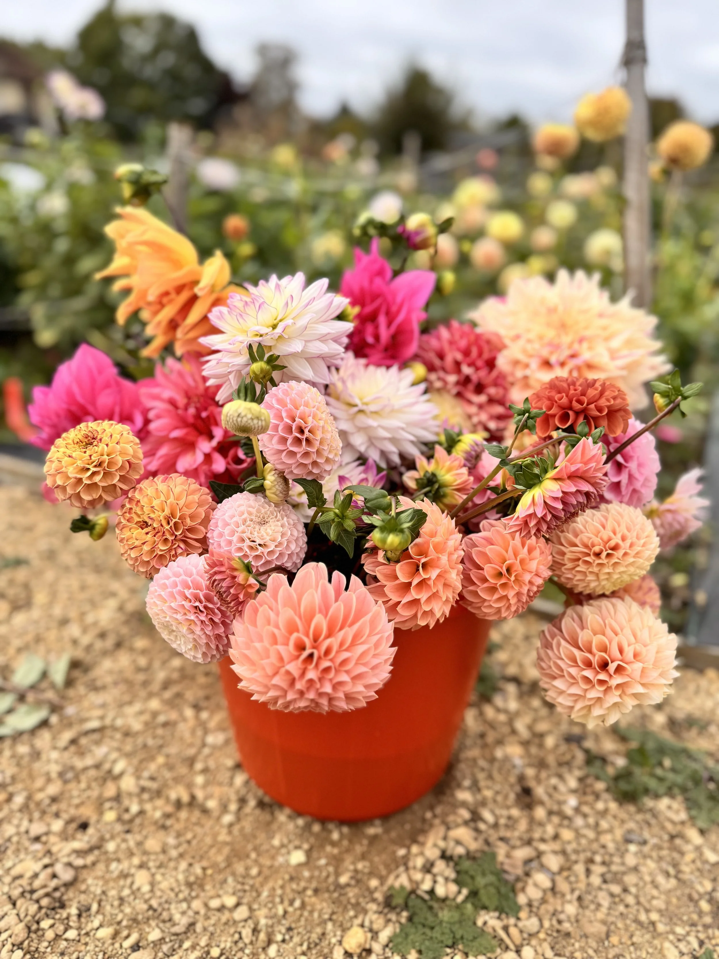 DIY Flower Buckets for Spring