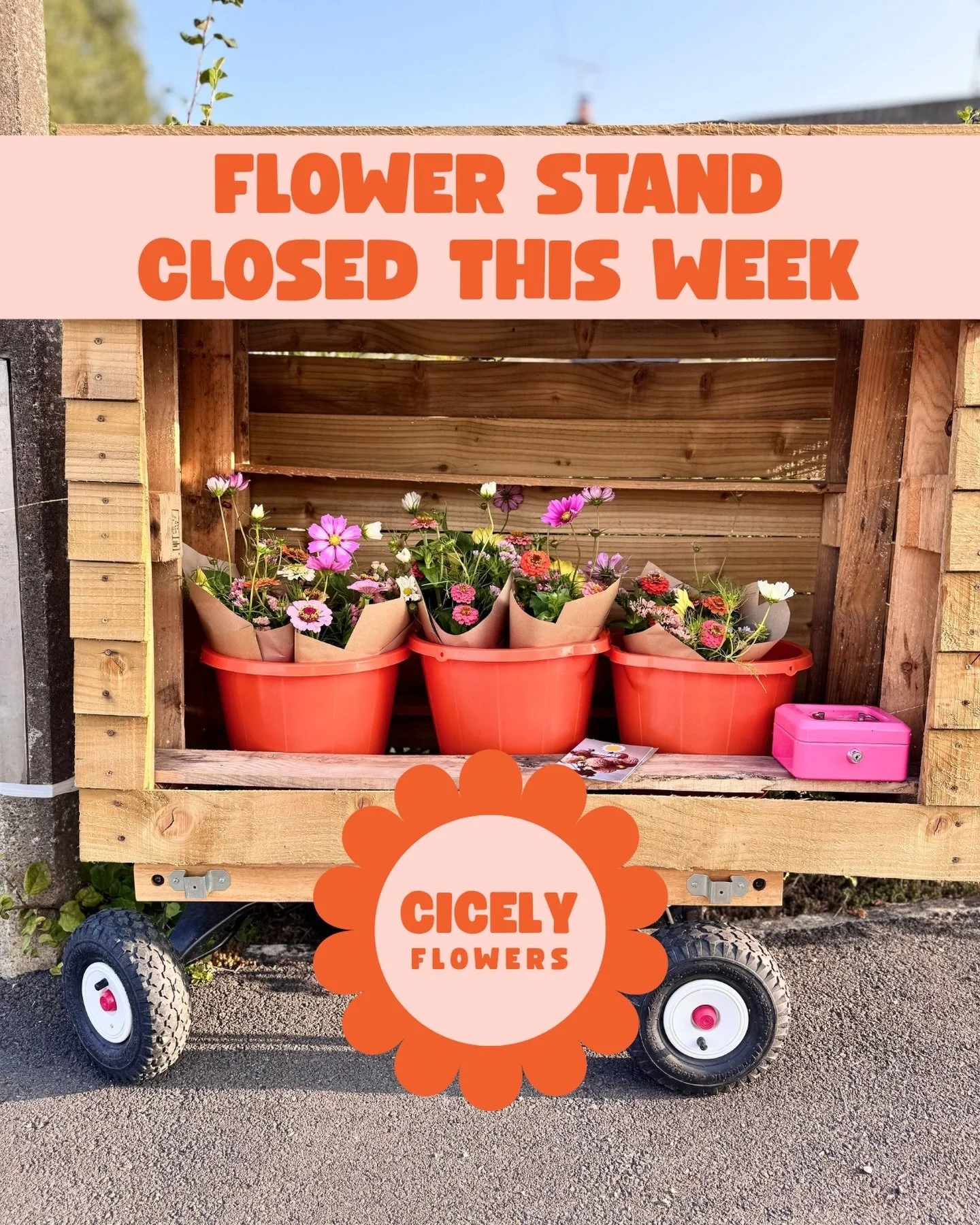 The flower stand will be closed this week as I&rsquo;m unwell, but it will be back Friday 3rd, just in time for you to grab some fresh, lovely flowers for Easter.

Meanwhile, I hope your week is going well - mine involves me indoors, quietly panickin
