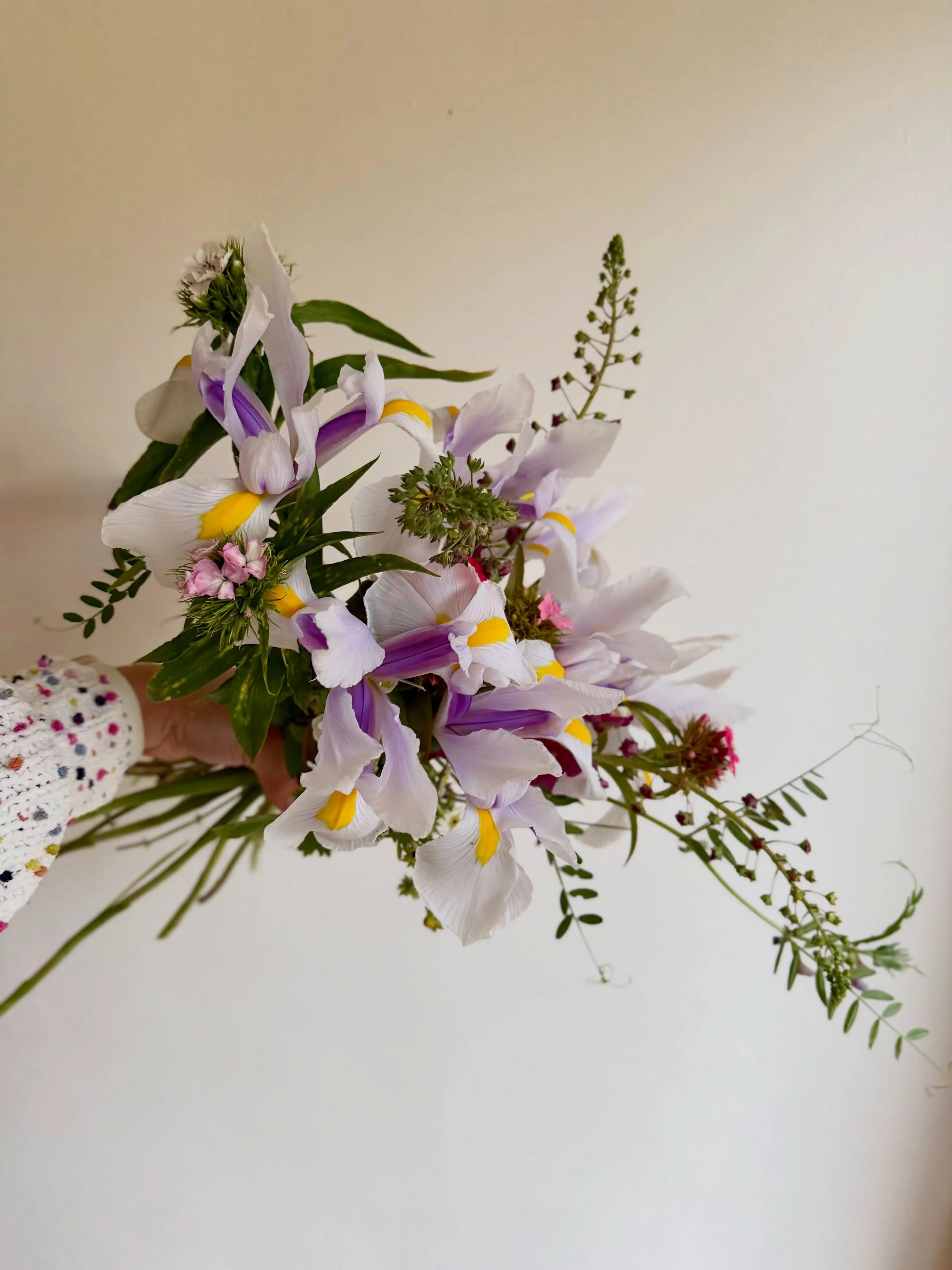Flower Stand bunches this week are a little bit more generous than usual, mostly owing to the fact that I am absolutely drowning in iris right now! 💐