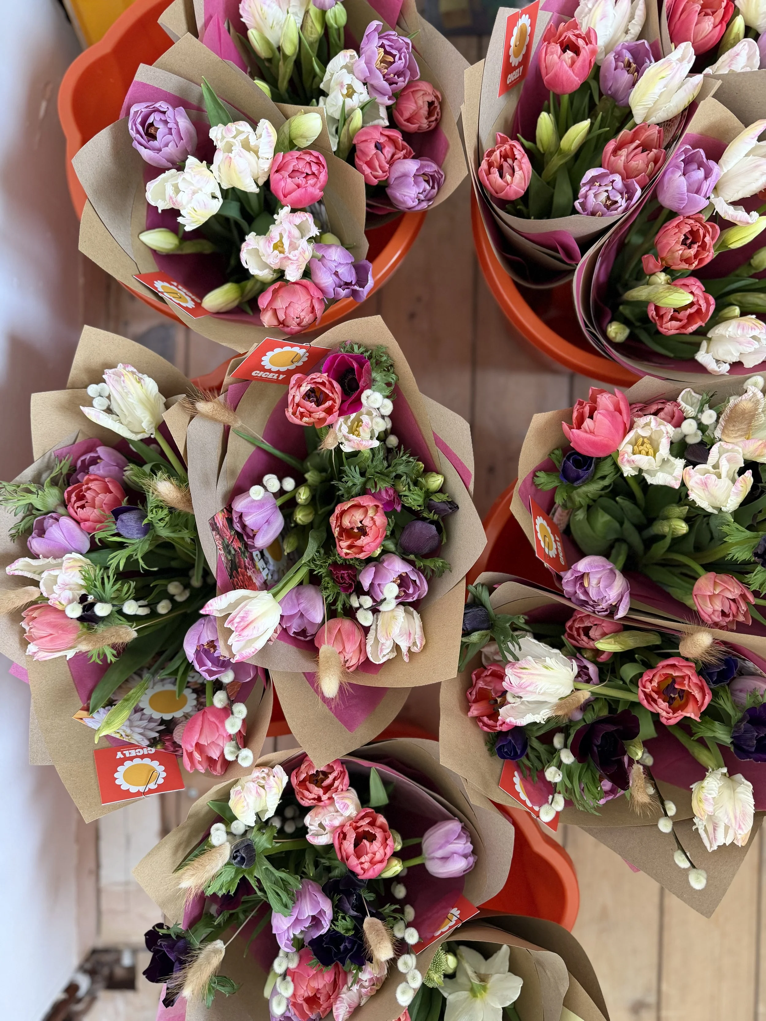 Spring Flower Pairings: What Blooms Well Together