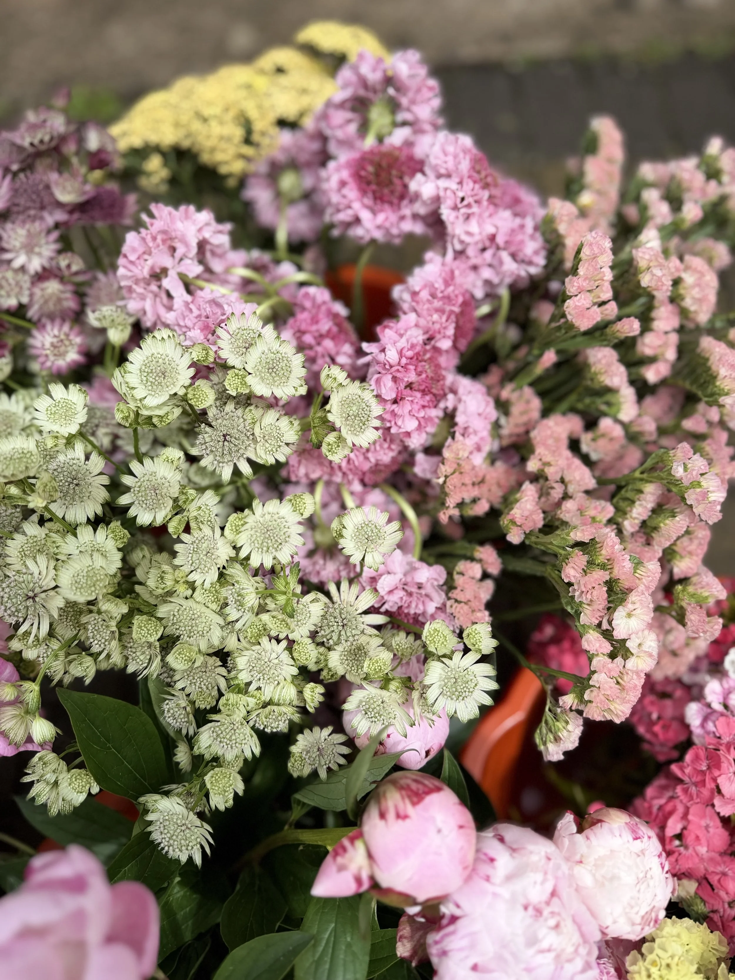 Why I Grow British Flowers