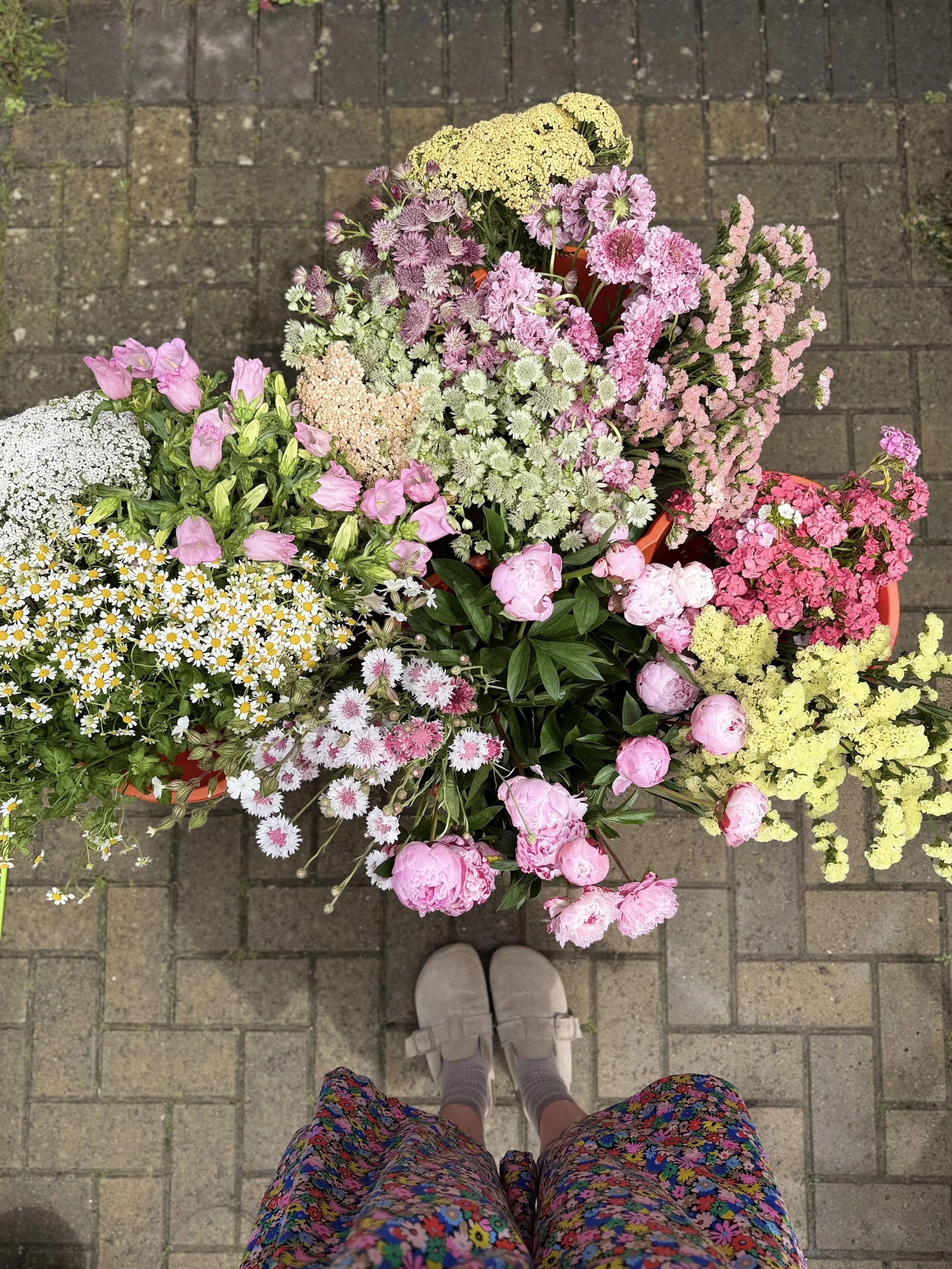 5 Reasons to Choose Locally Grown Flowers in Bradford on Avon