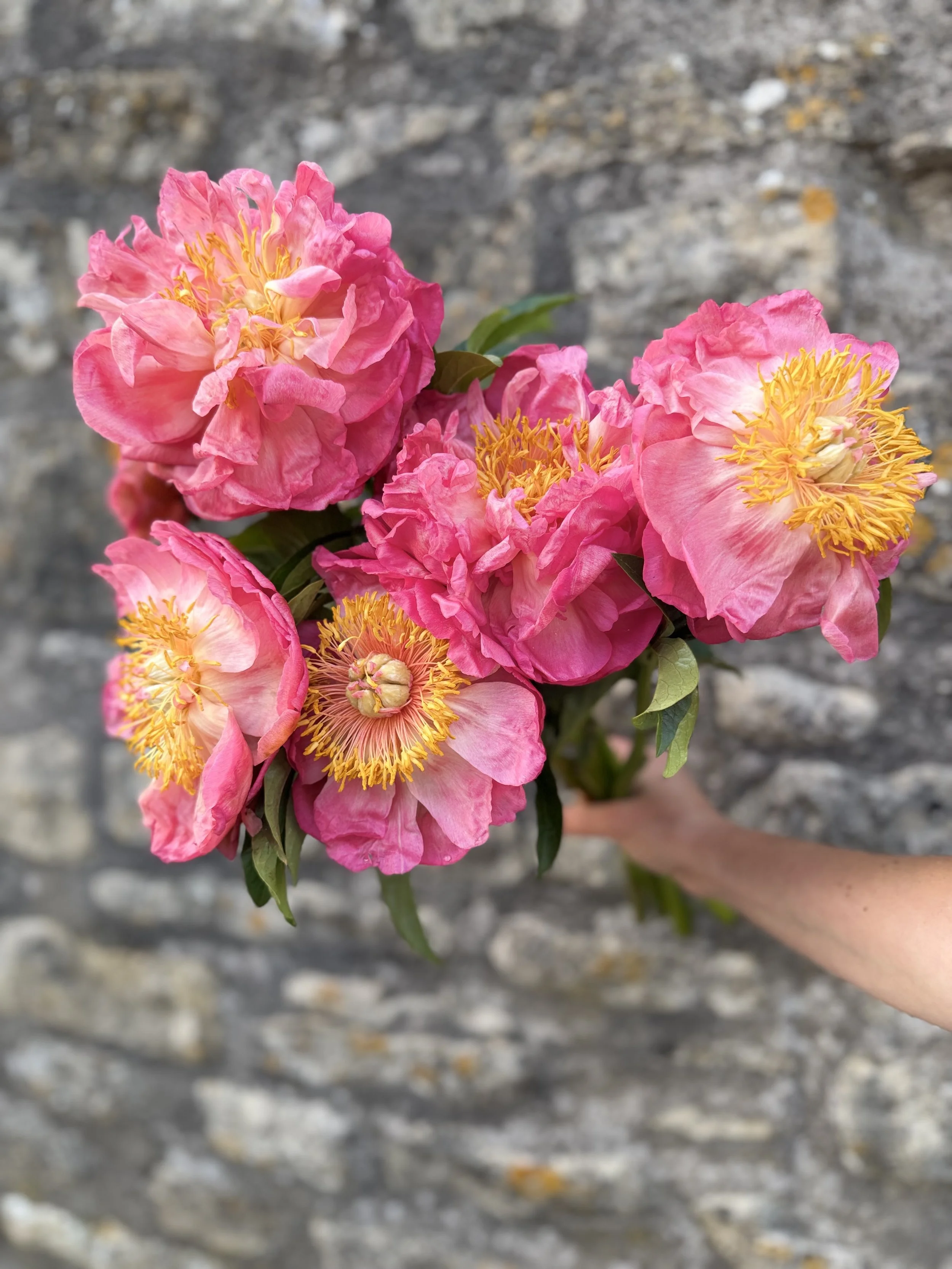 Why Locally Grown Flowers Are Different from Supermarket Flowers