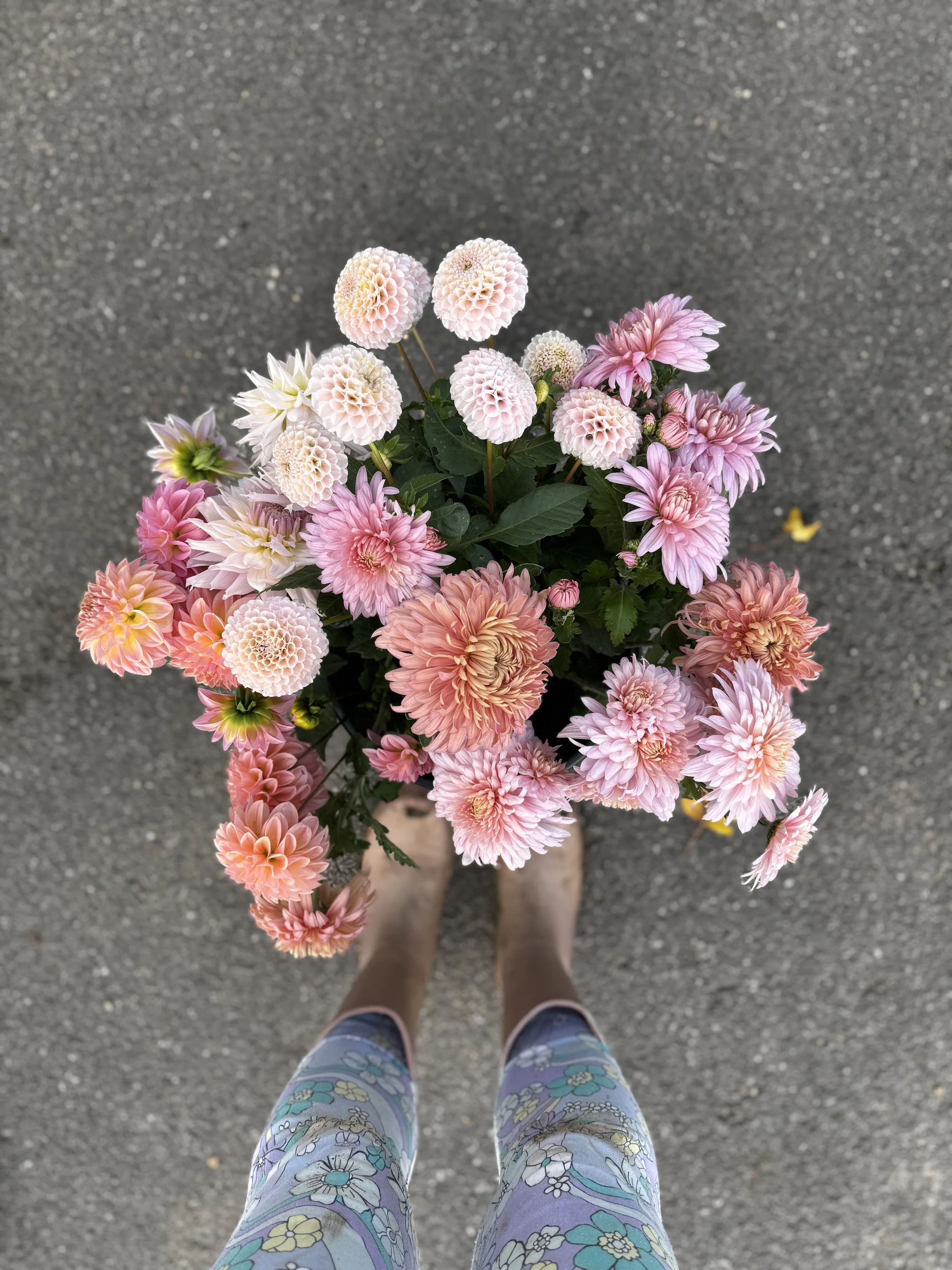 Buckets of organically grown flowers ready for DIY wedding arrangements