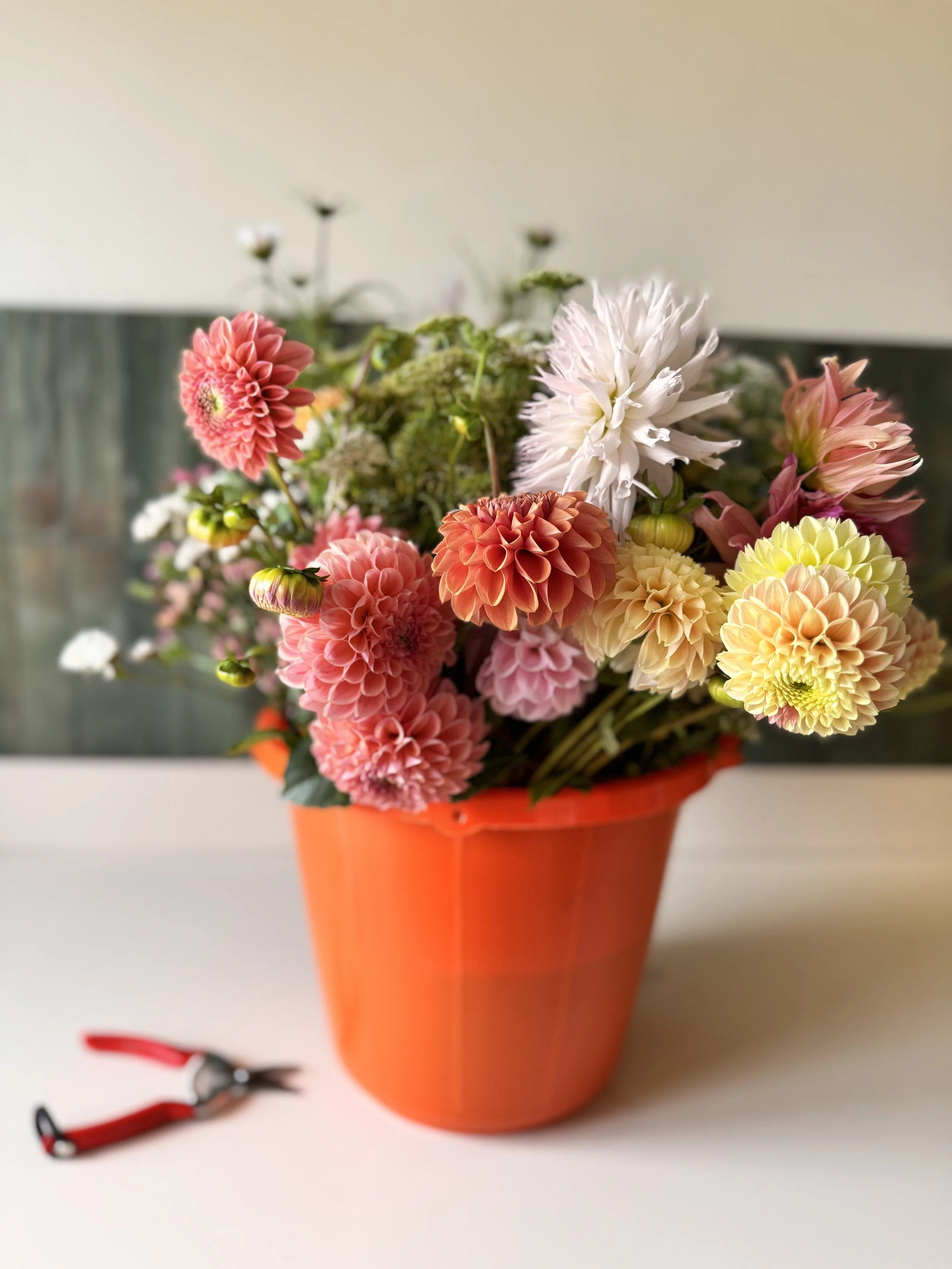 flower bucket.jpeg