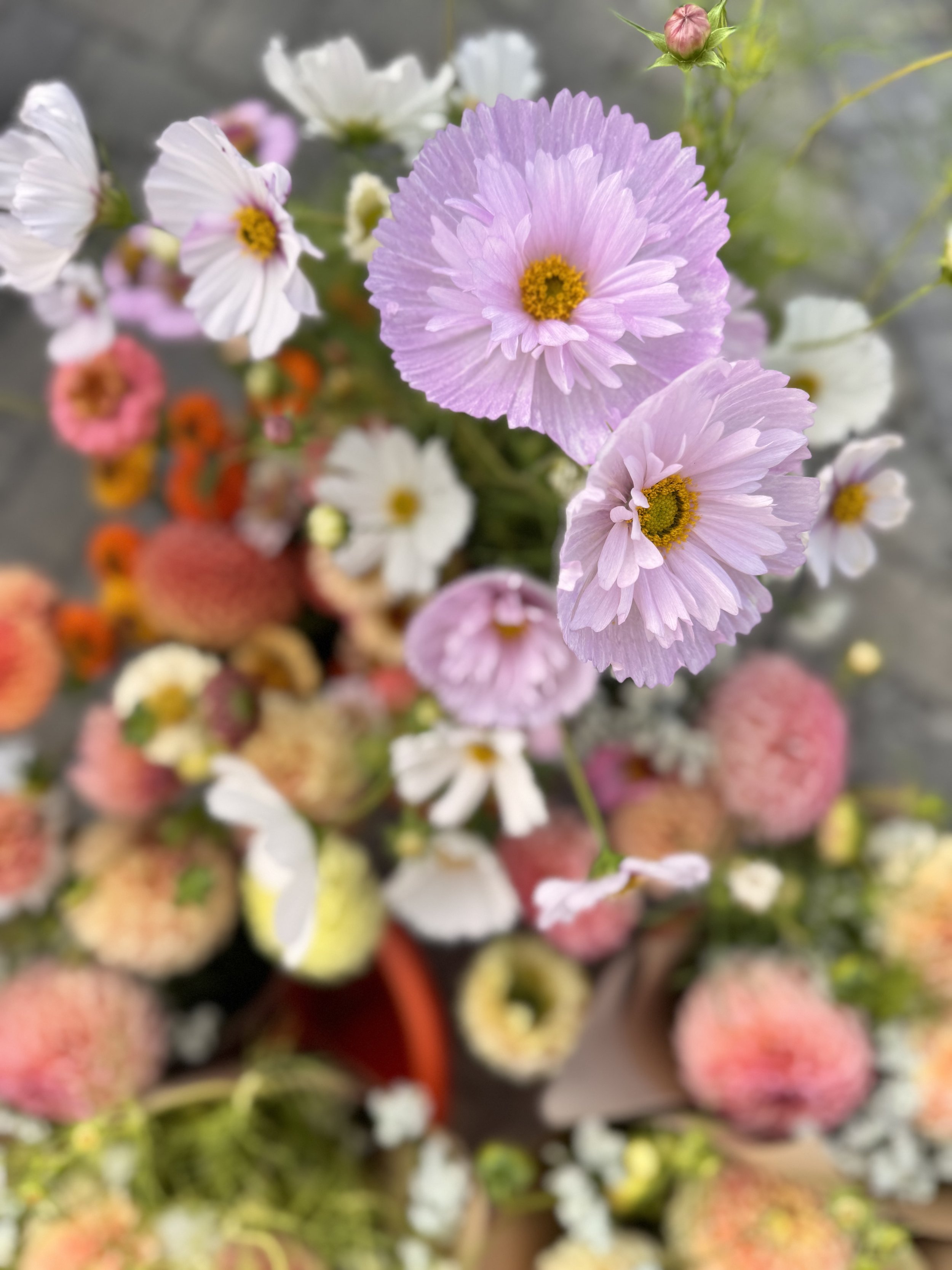 Wedding bouquet made with locally grown British flowers in pastel shades
