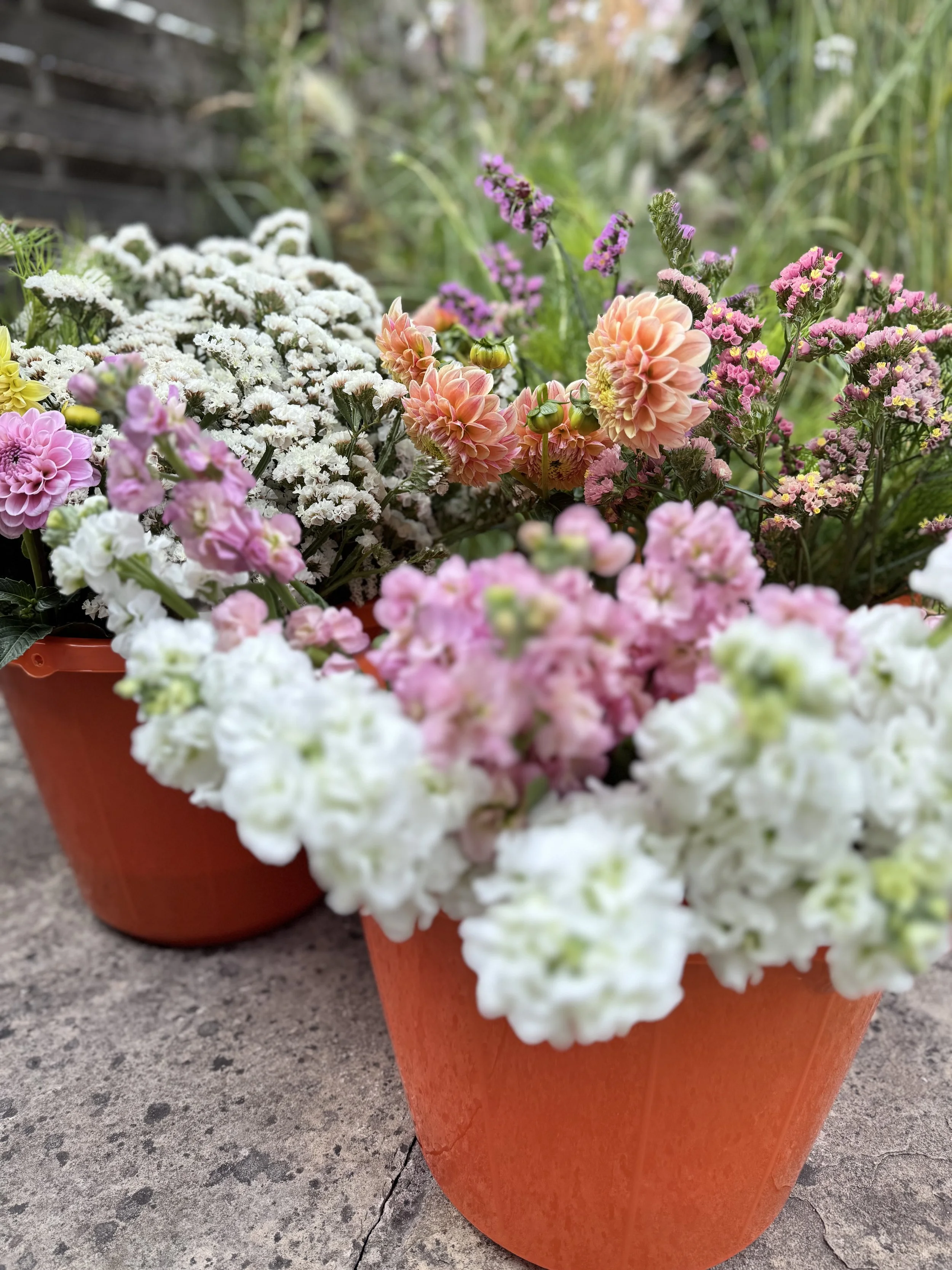 DIY wedding flower buckets filled with freshly cut locally grown blooms