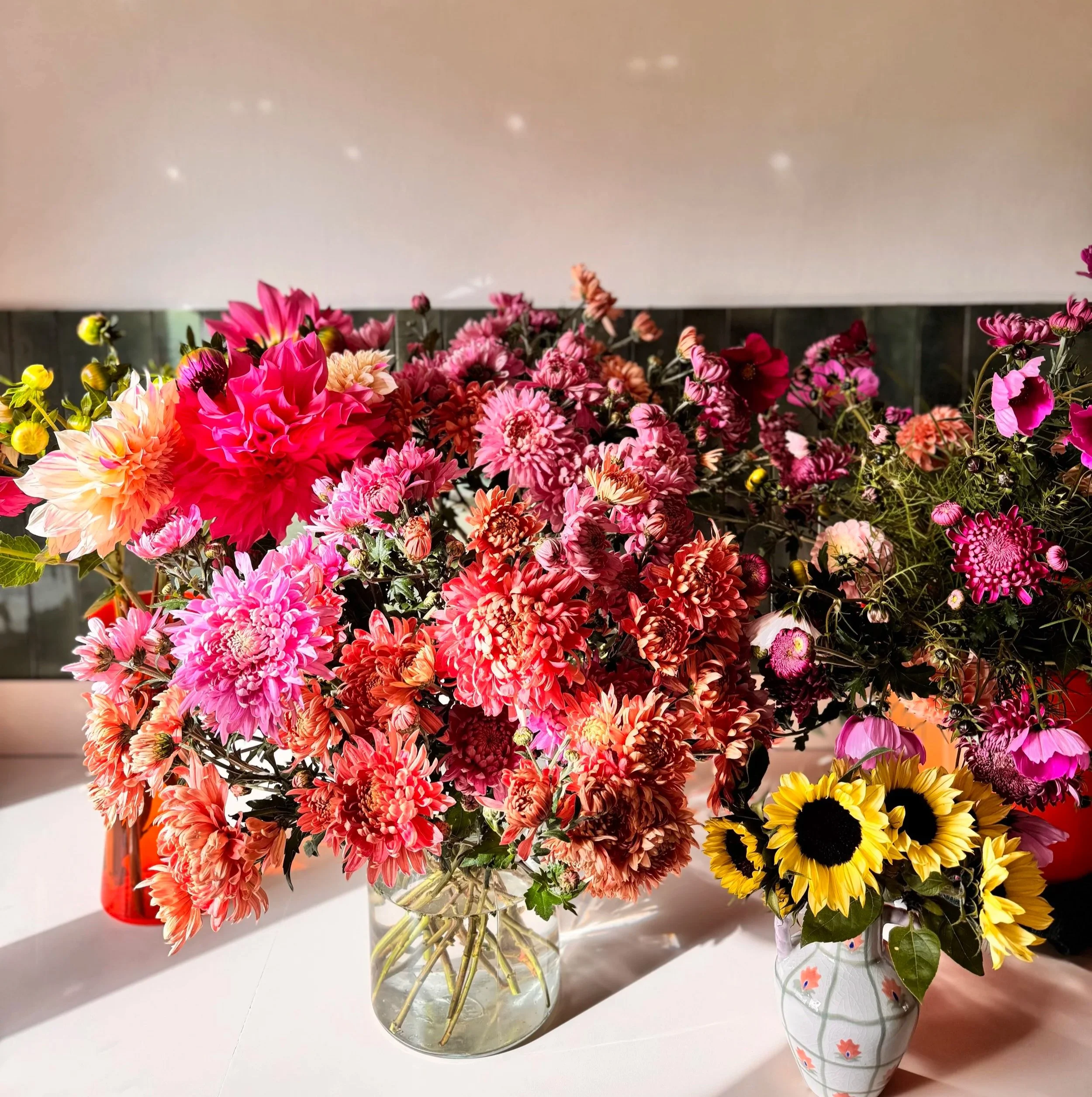 chrysanthemums dahlias and sunflowers in autumnal colours on the kitchen worktop with the sun shining on them