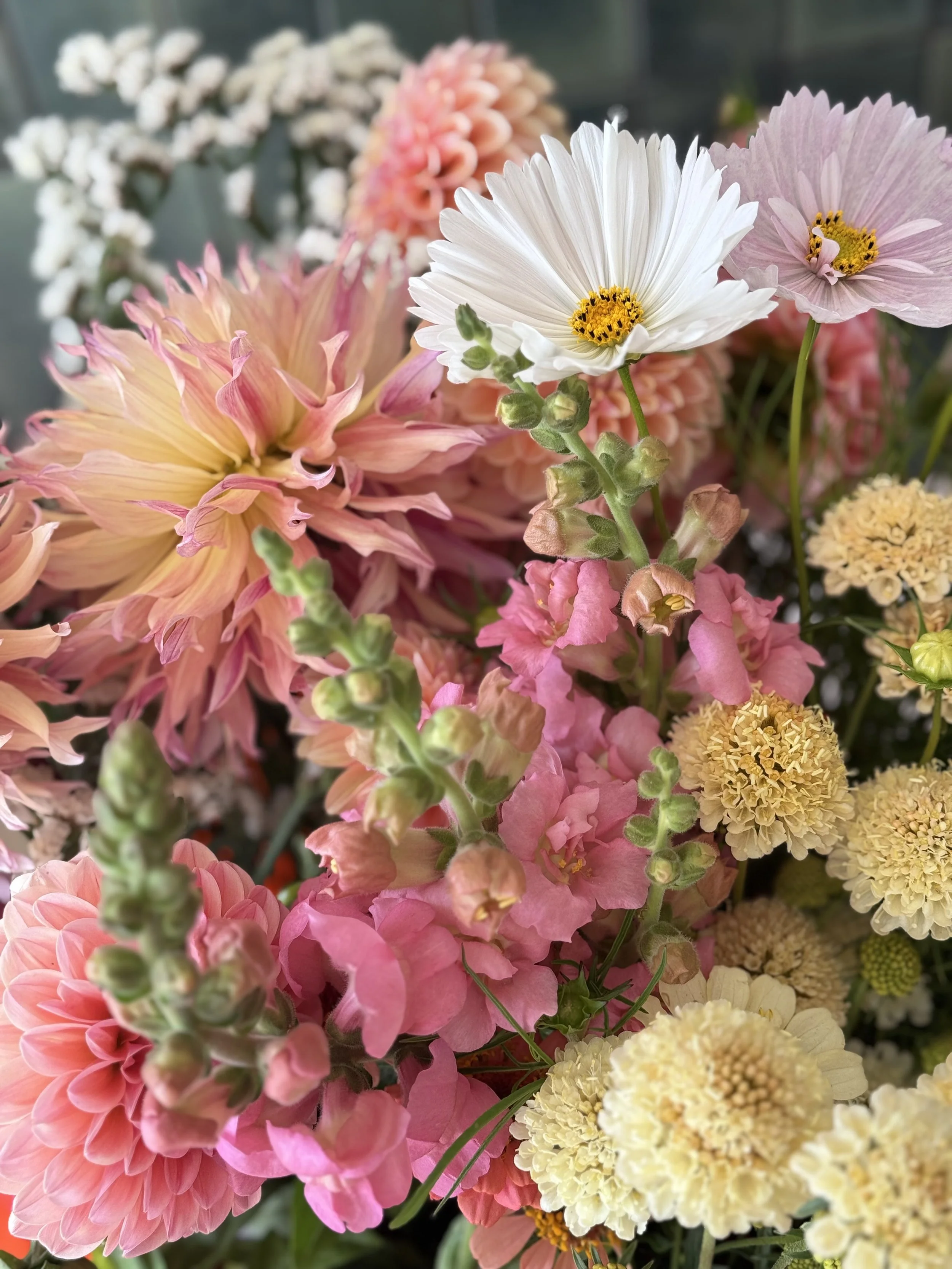 Seasonal British flowers arranged in a vase on a kitchen table