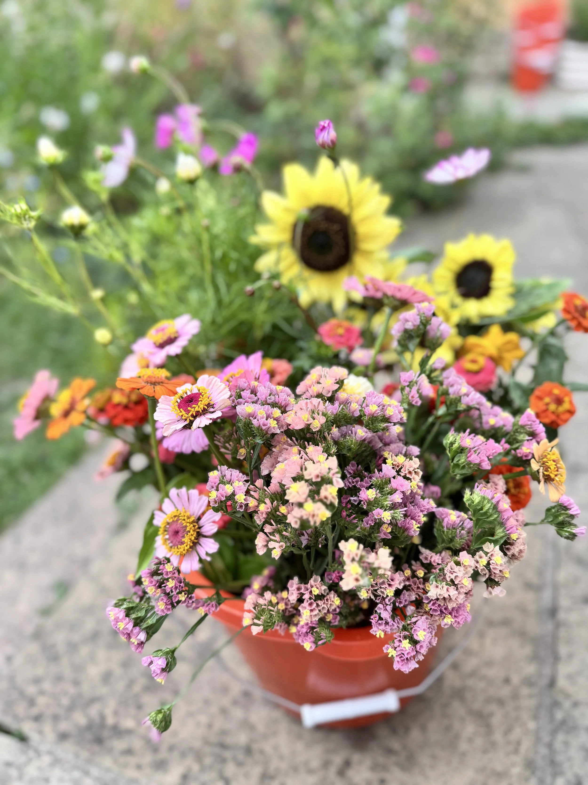 flower bucket 2.jpeg