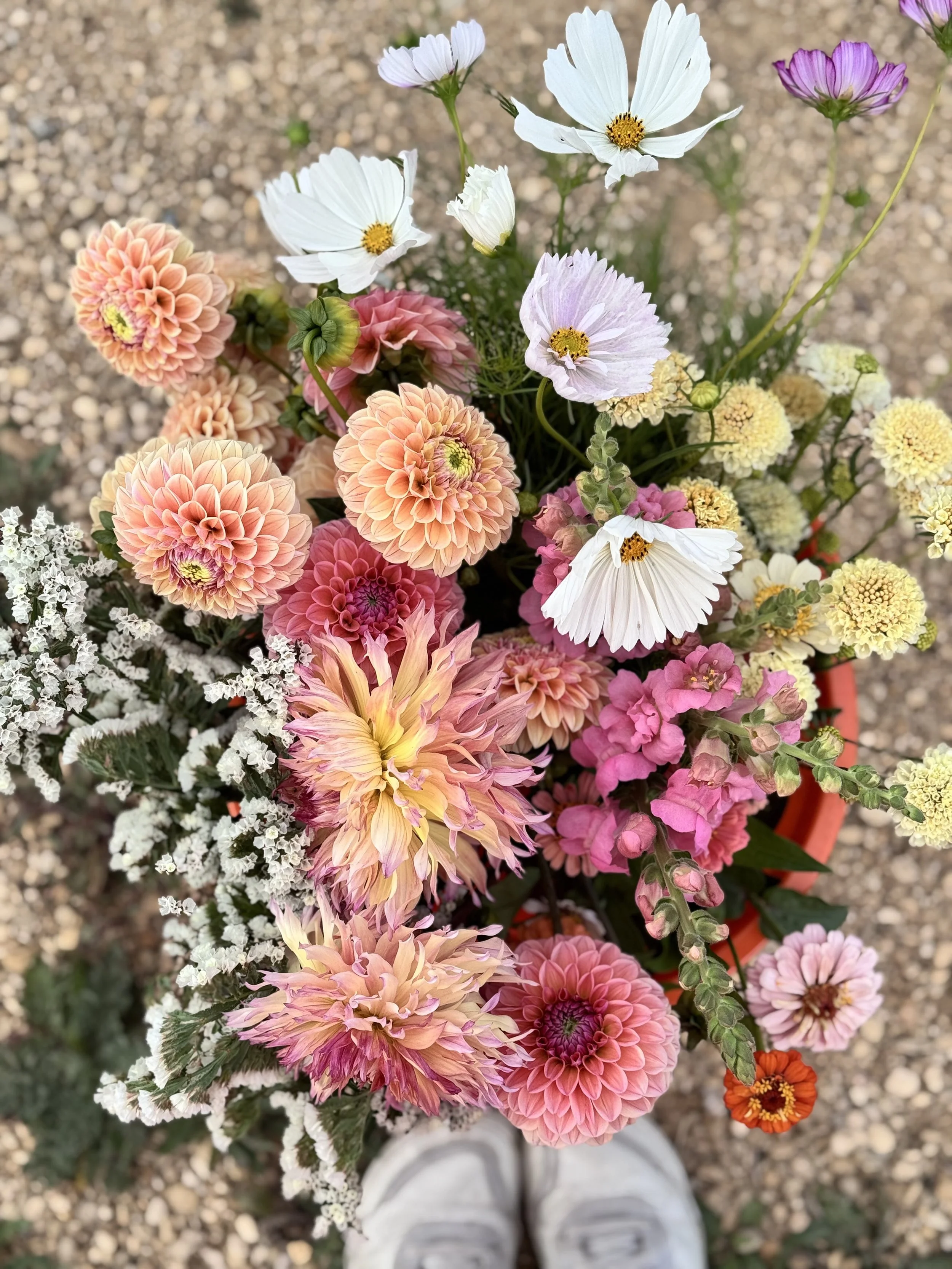 Hand-tied bouquet of locally grown flowers delivered to a home in Bradford on Avon