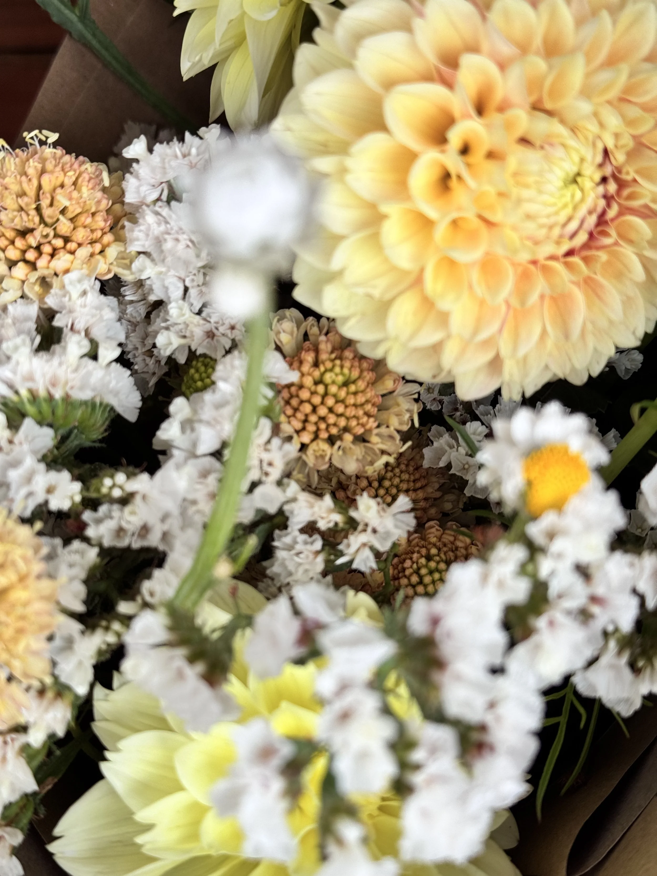 Buckets of colourful seasonal blooms freshly gathered for a wedding