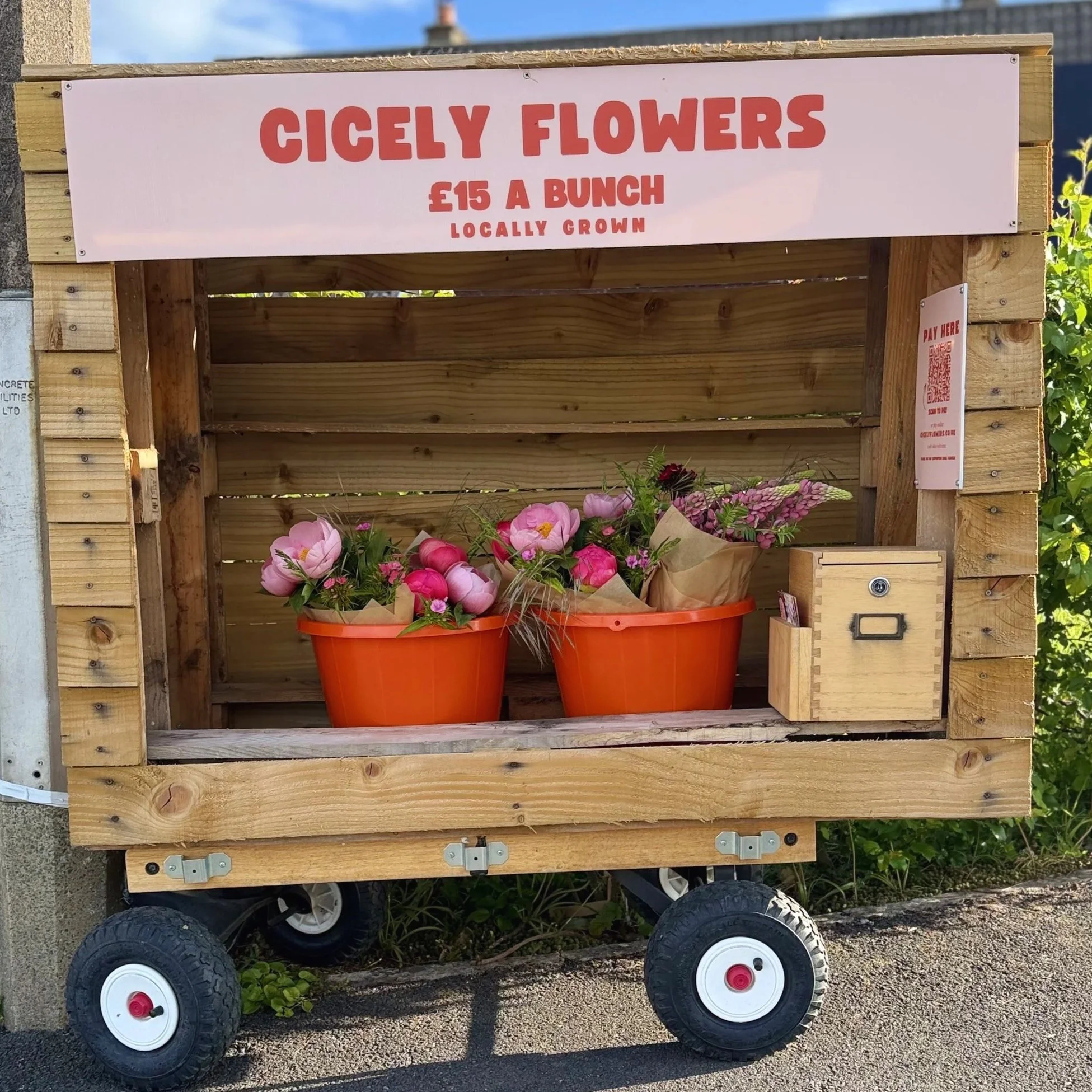 Pay for Flower Stand Flowers