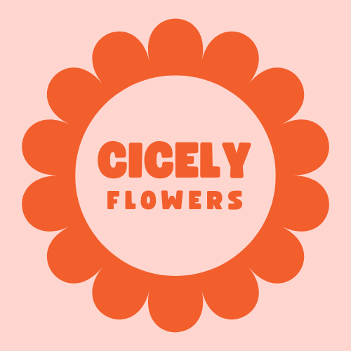 Cicely Flowers Logo-3.png (Copy) (Copy) (Copy)