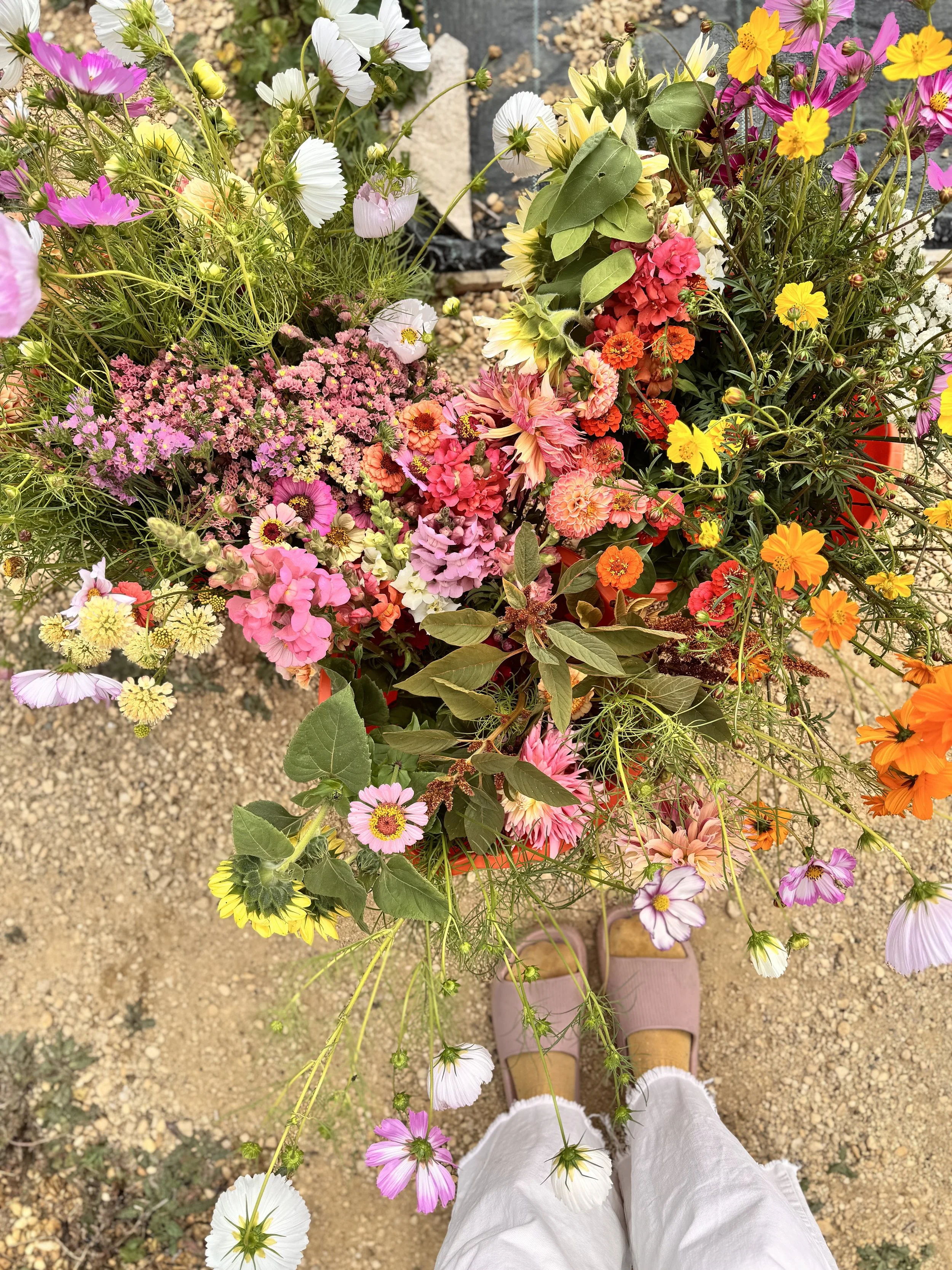 flower bucket 3.jpeg