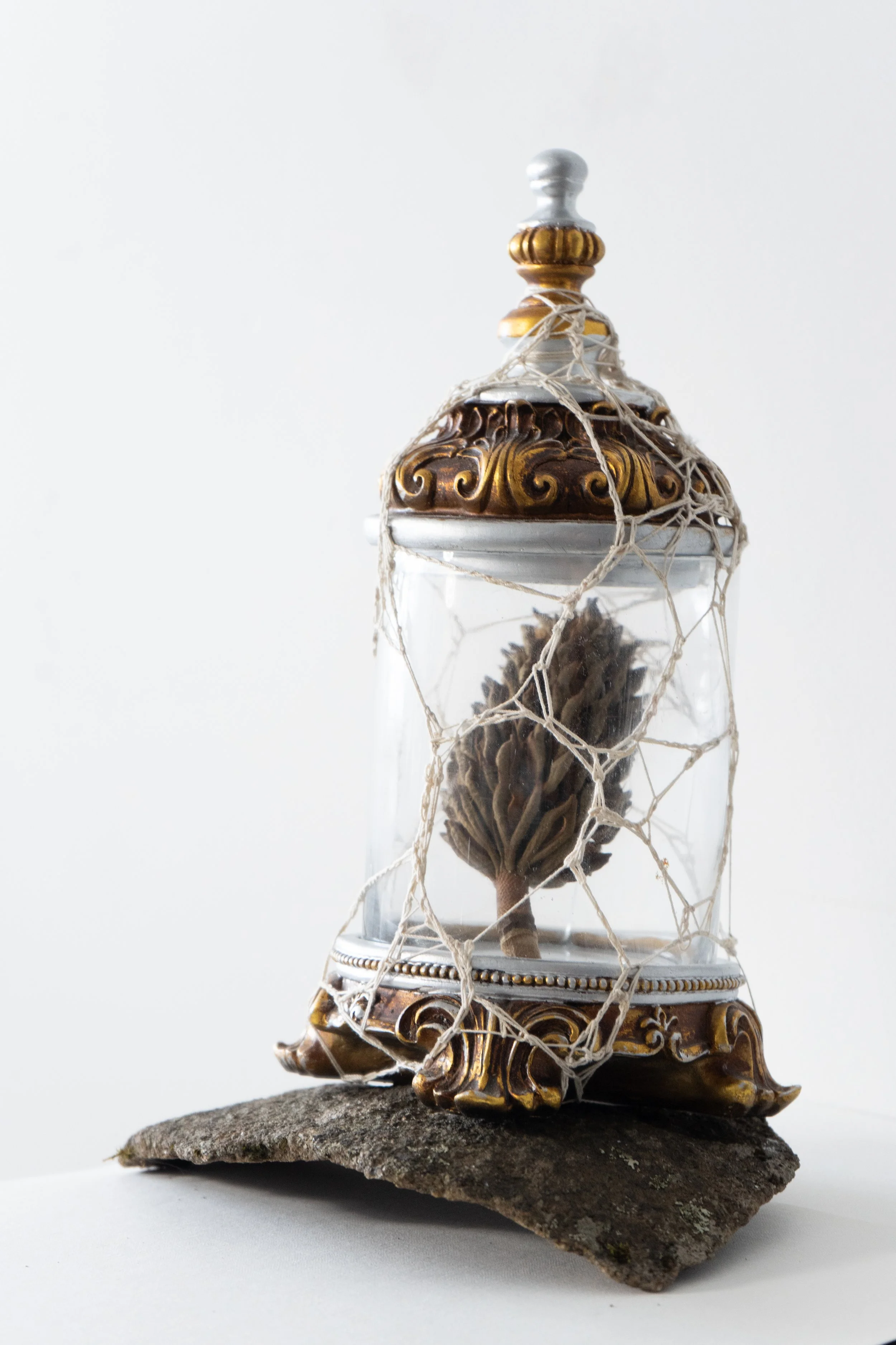 'Vessel'
Gilded Glass and Carved Wood Vessel Containing Botanical Specimen.