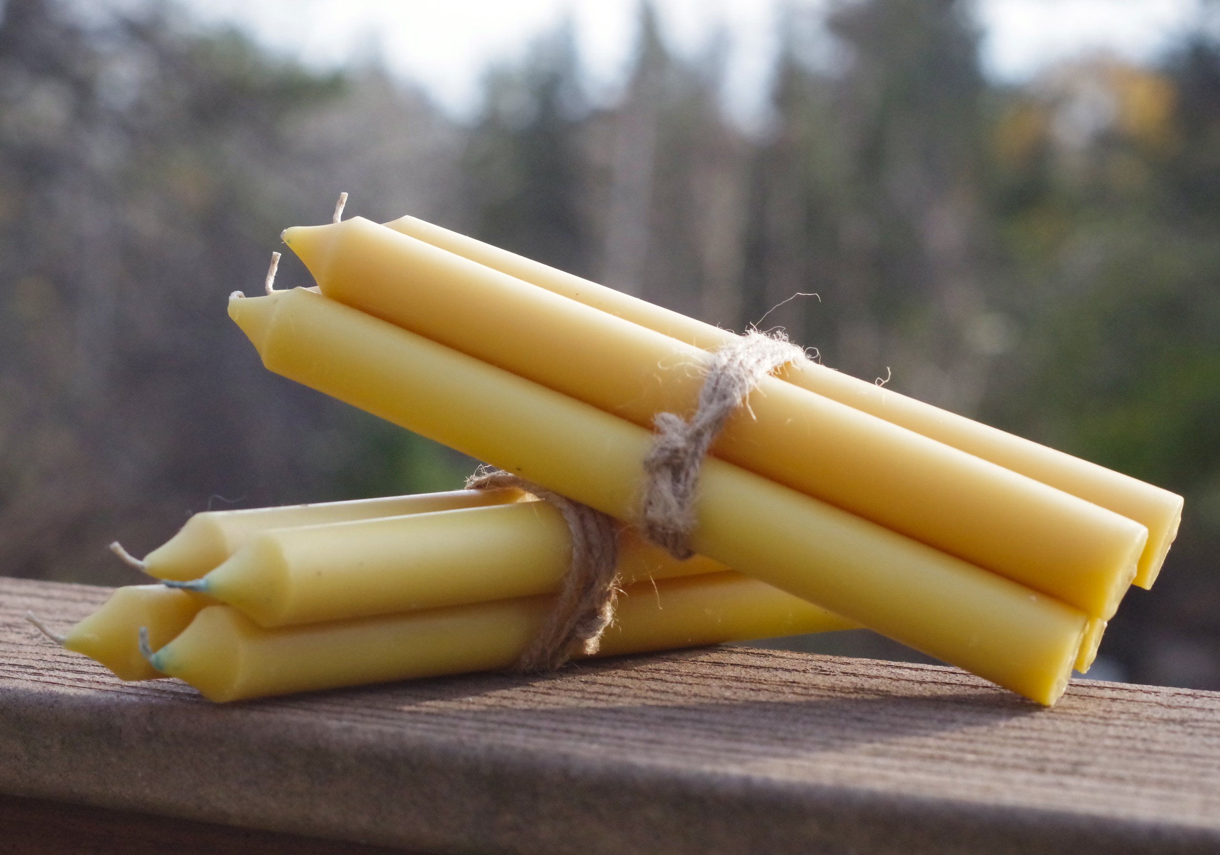 Candles (Tall Straight Medium).jpg
