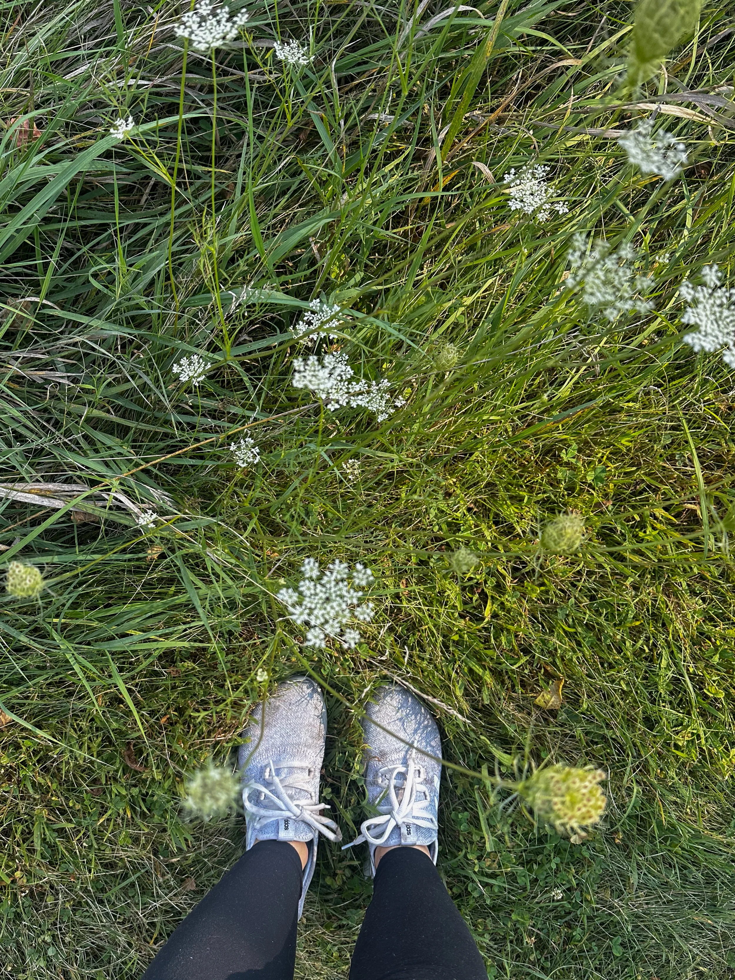 Waiting Established on the Gospel