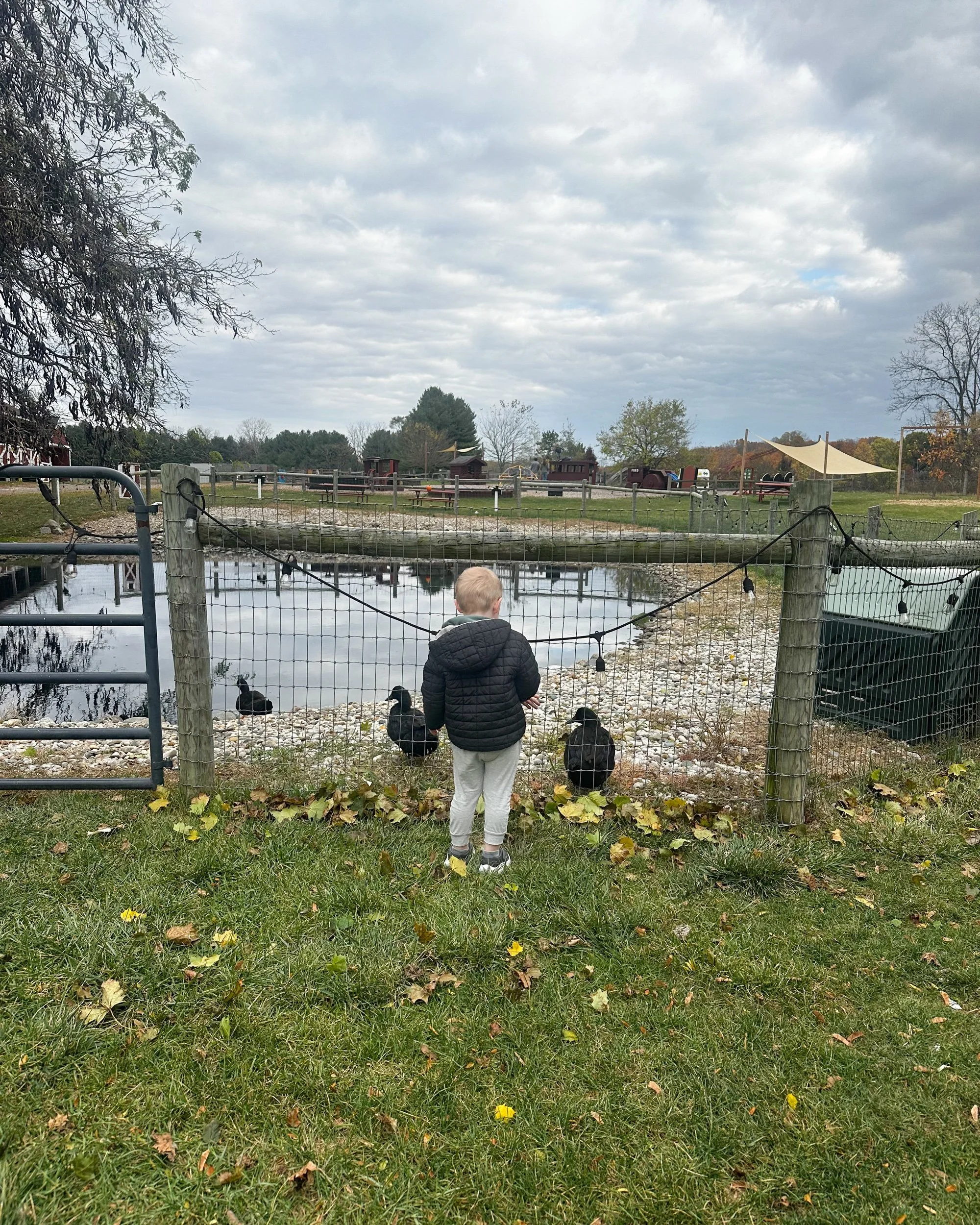 5 Family Activities That Keep the Fun Going All Year