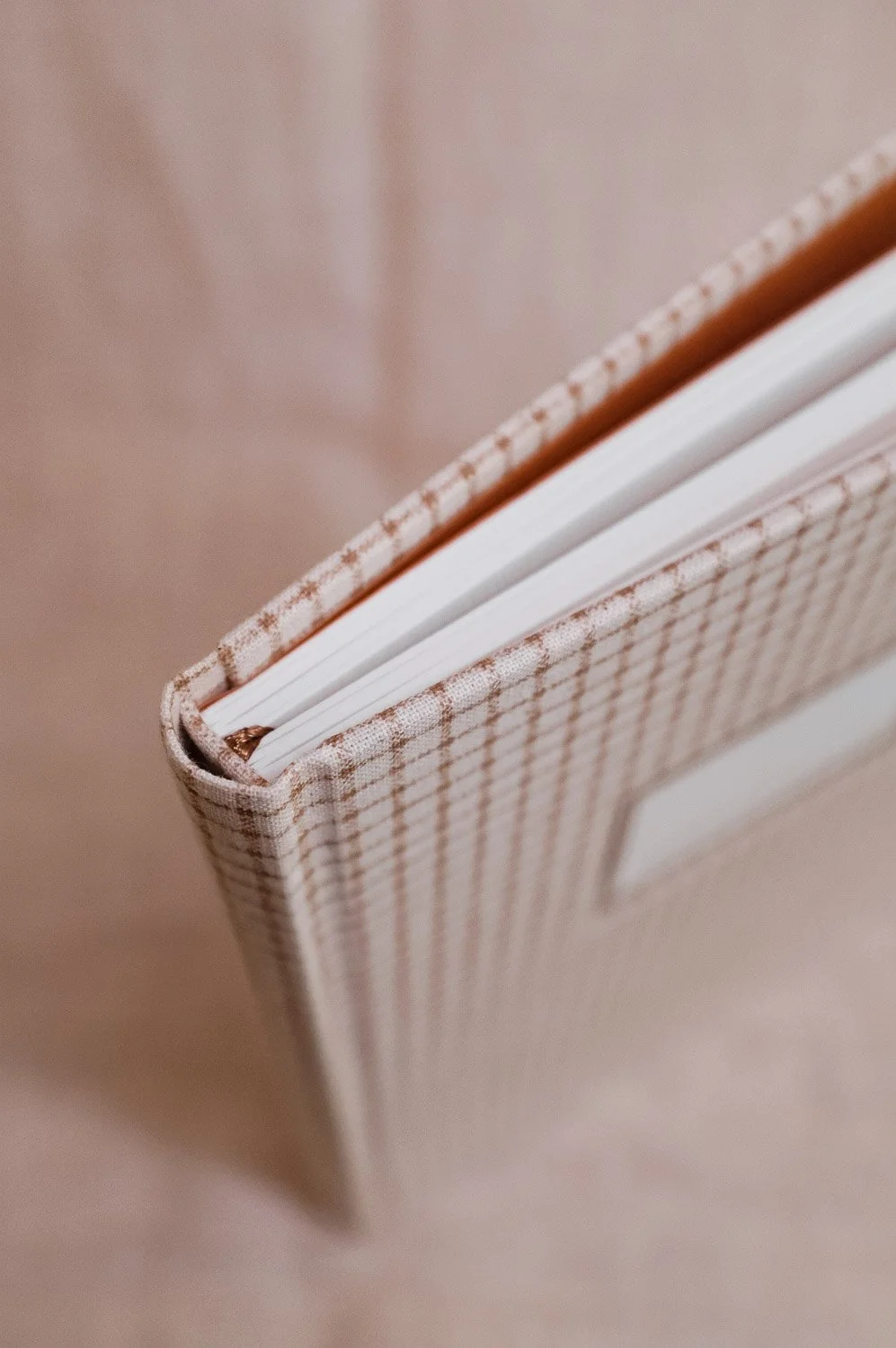 Ode to Paper_Bullet Journals_Cognac Check-2493.jpg