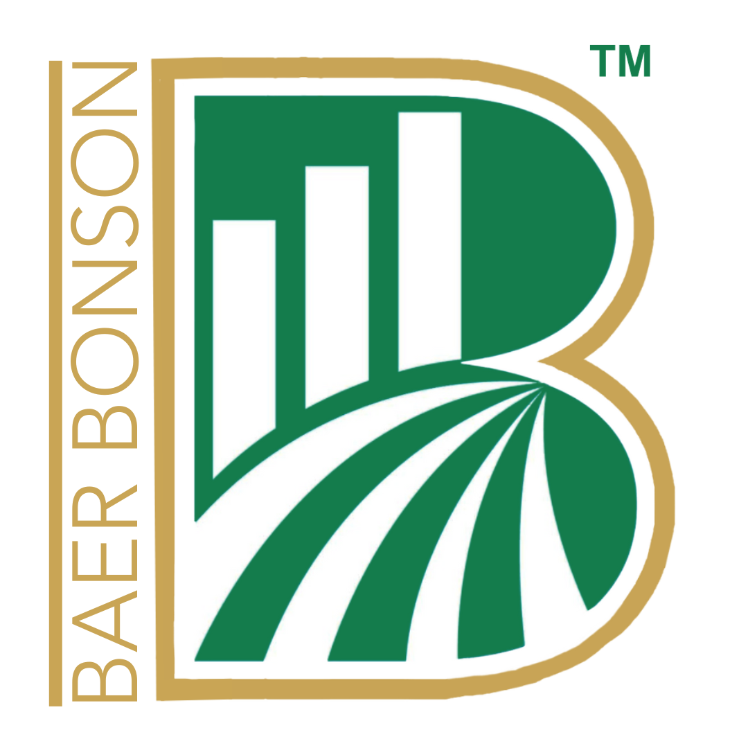 Baer Bonson Business Services, Inc. 