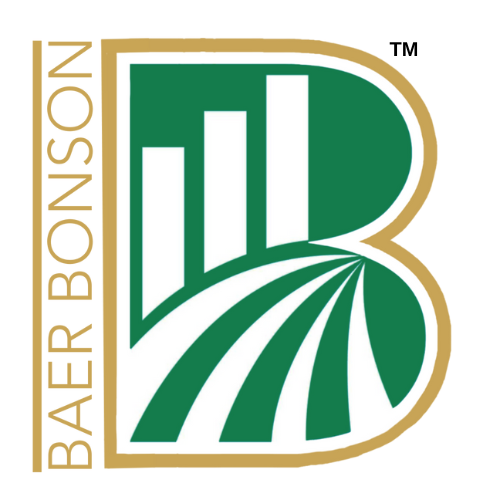 Baer Bonson Business Services, Inc. 
