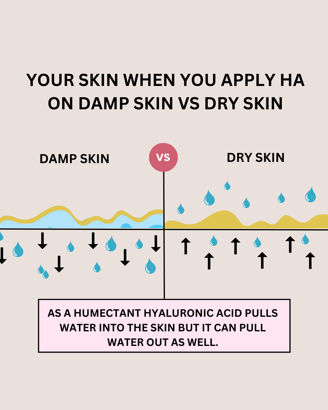 How to apply hyaluronic acid — Ascension Aesthetics