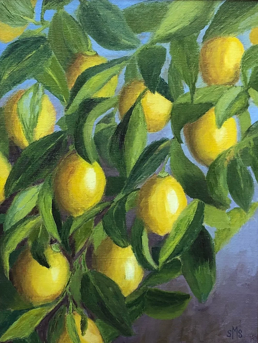 Lemons Galore