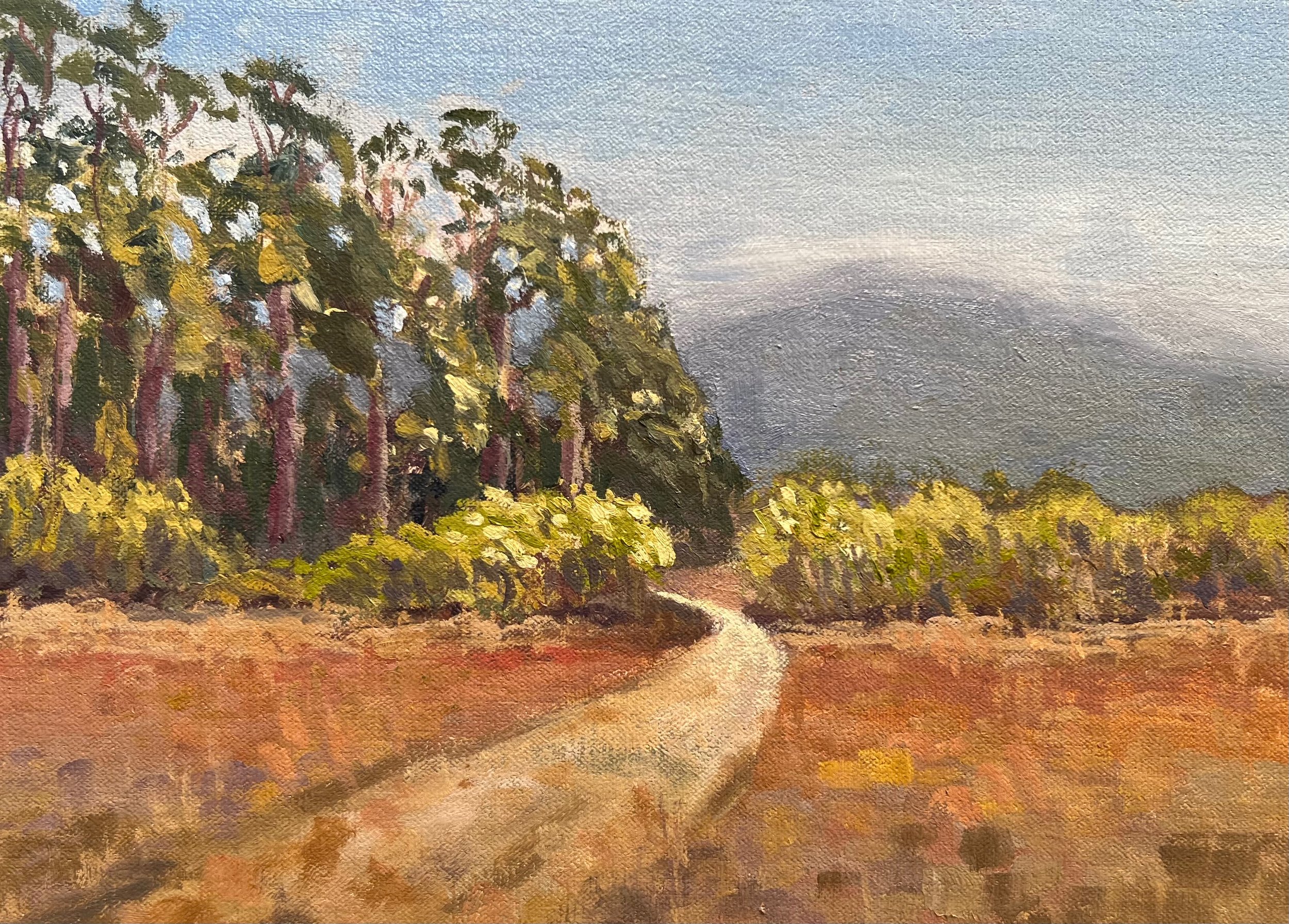 Tennessee Valley Stroll