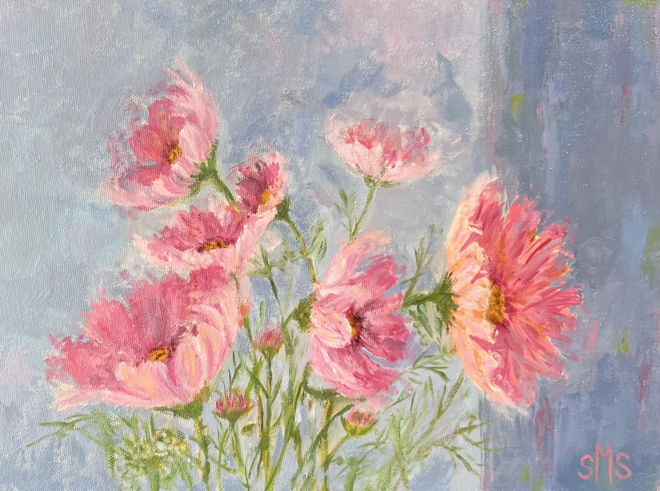 Summer Cosmos
