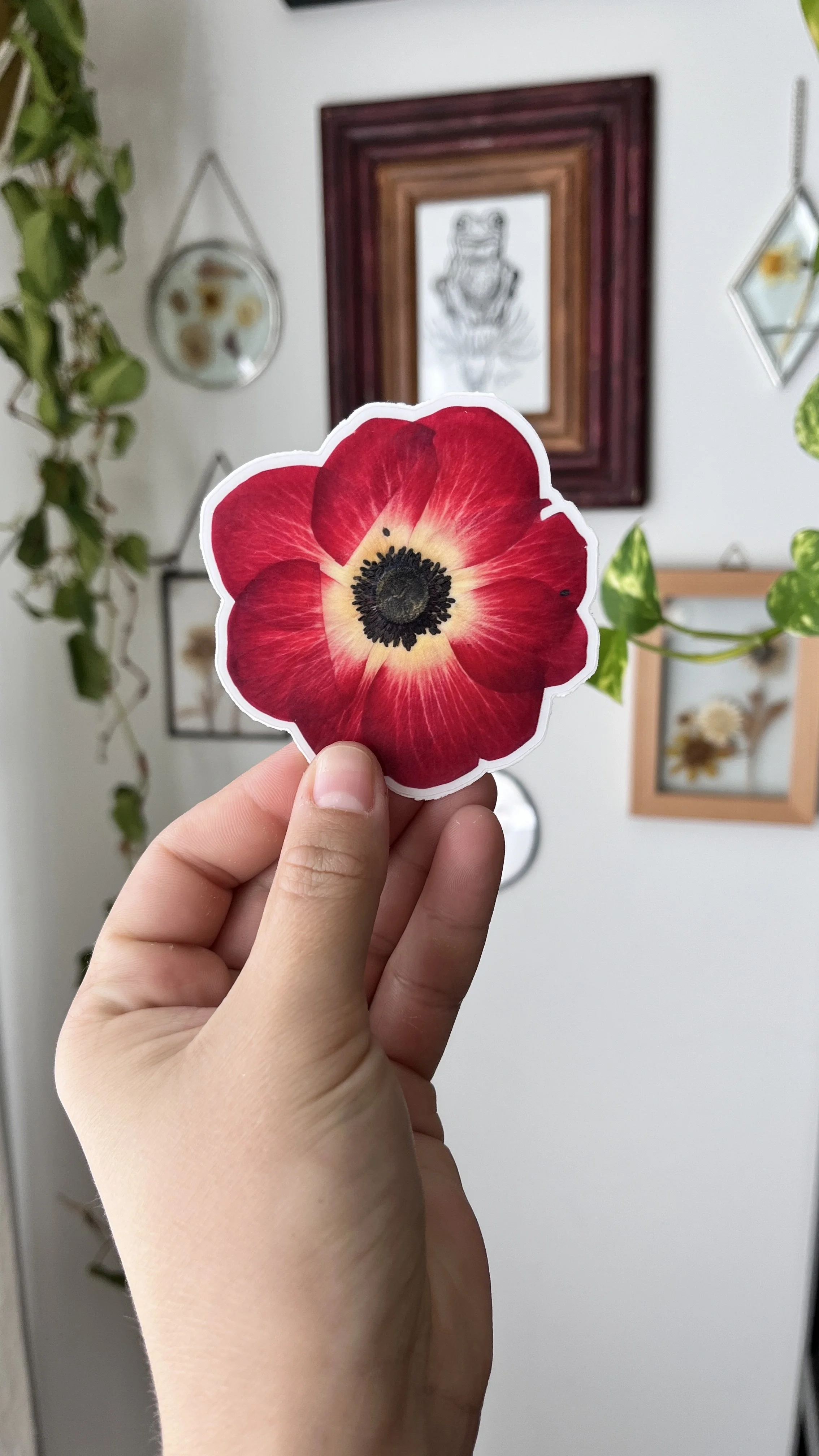 Anemone Floral Sticker